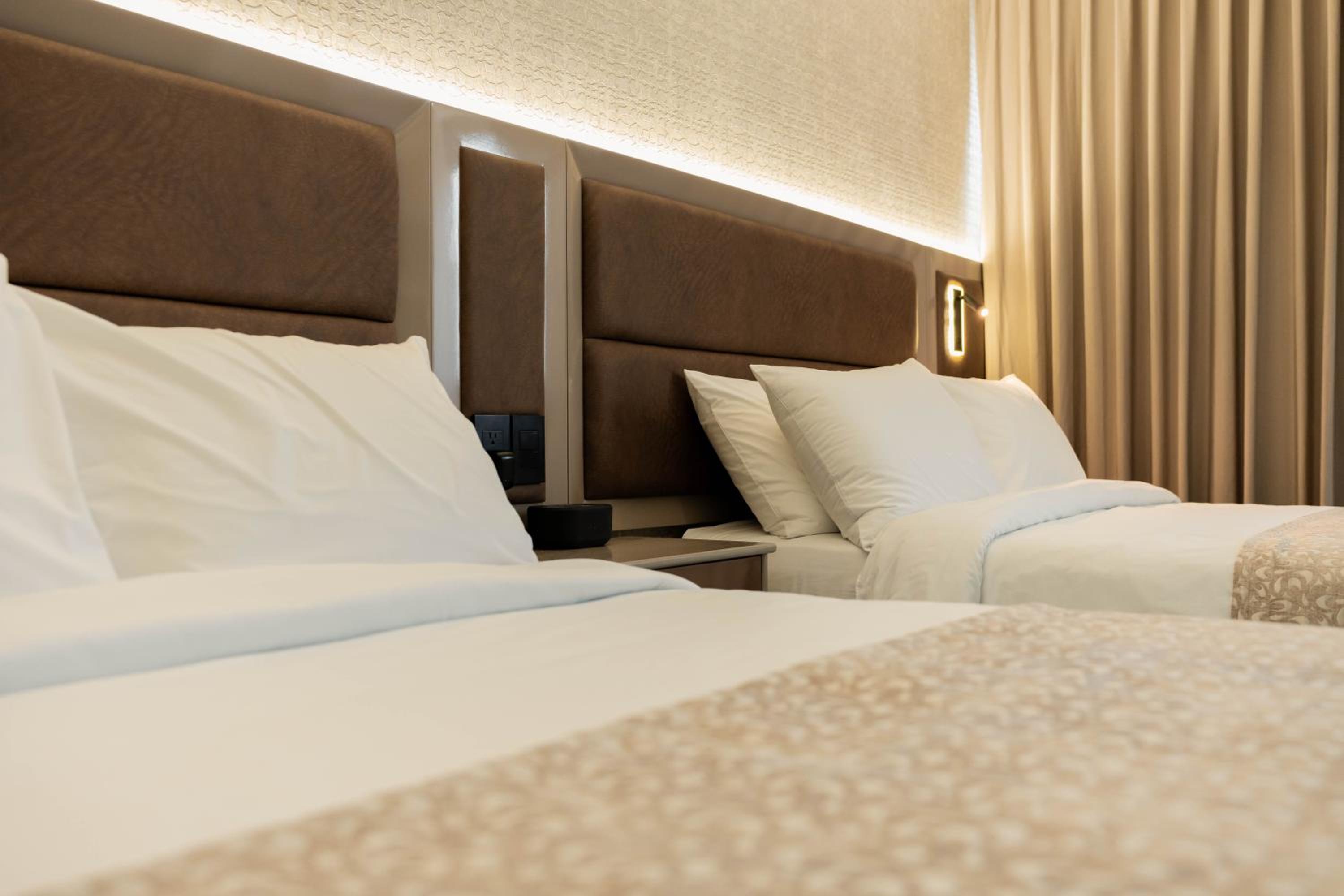 Superior Suite photo 2