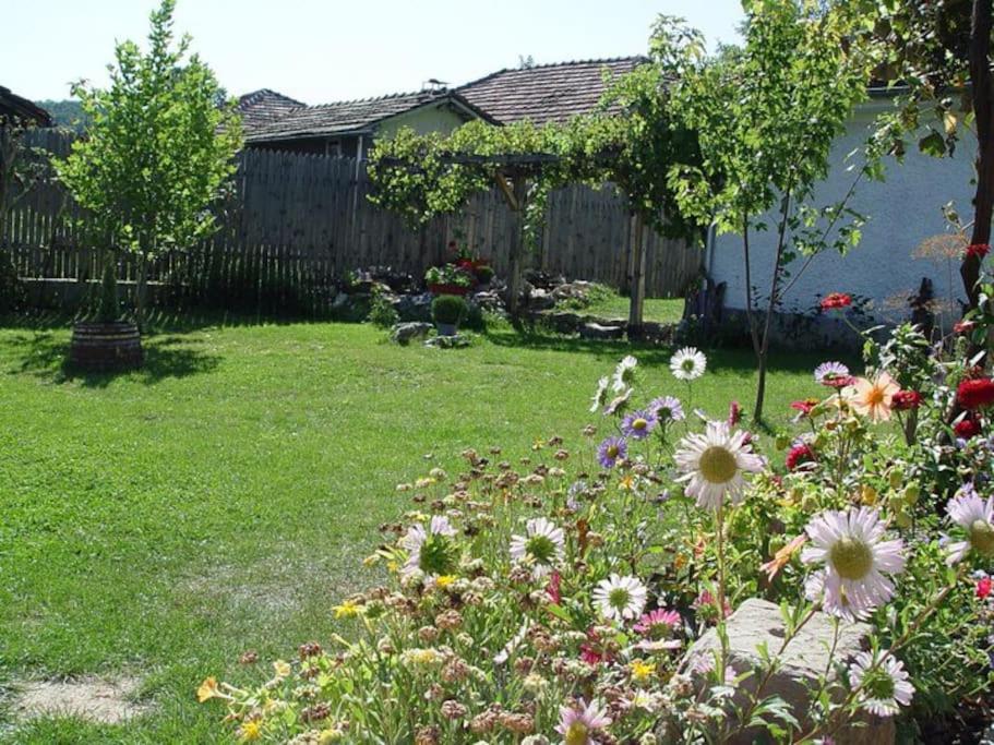 Five-Bedroom House photo 3