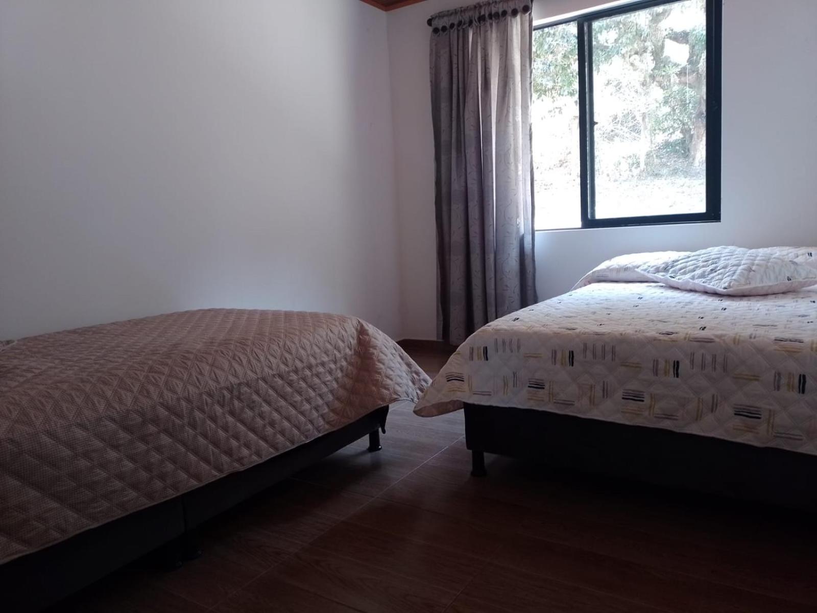 Three-Bedroom House photo 3