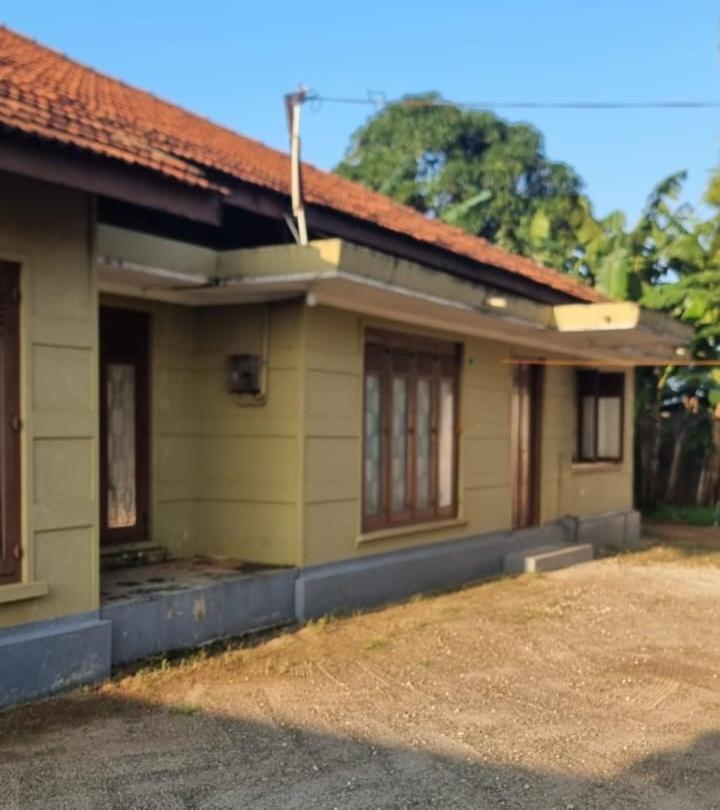 Deluxe Bungalow with Garden View photo 1