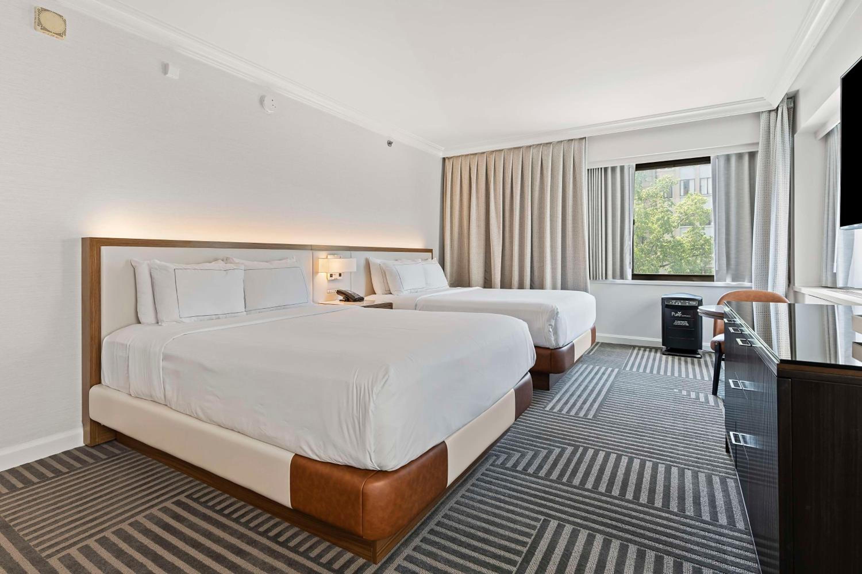 Queen Room with Two Queen Beds - Allergy Friendly photo 2