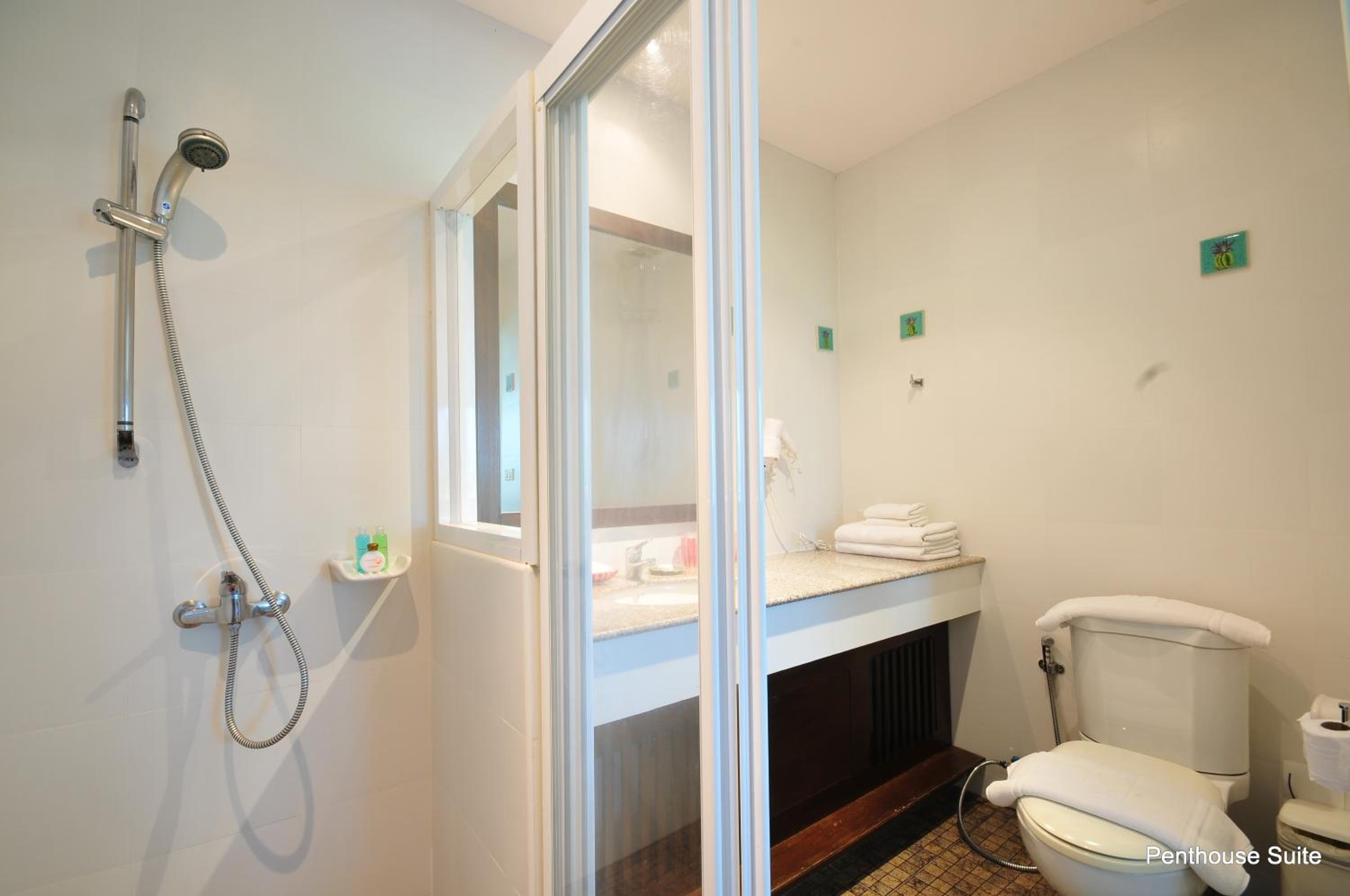 Penthouse Studio with Mountain View - Photo 7