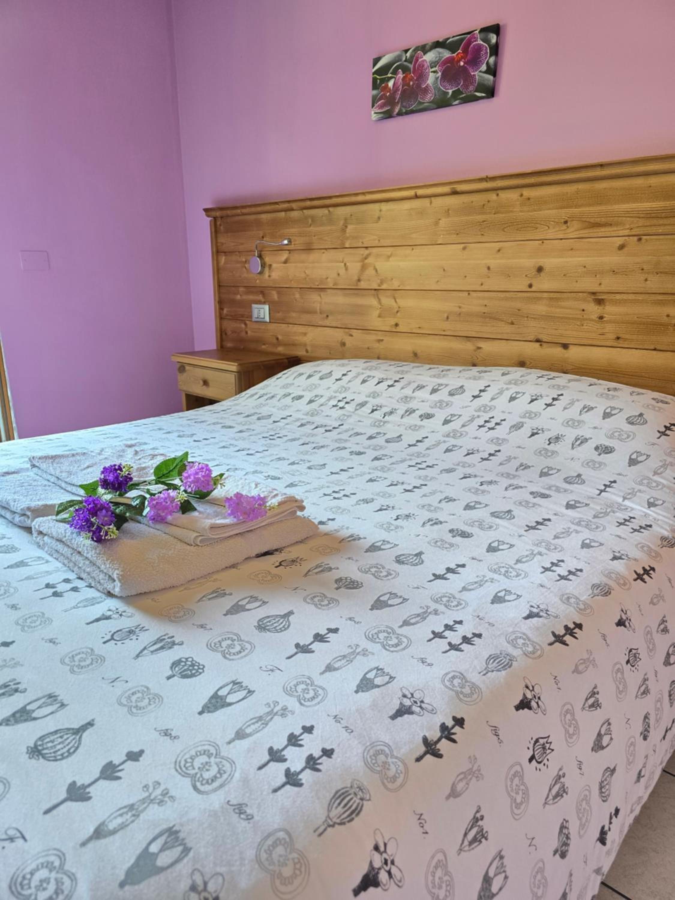 Standard Double or Twin Room photo 2
