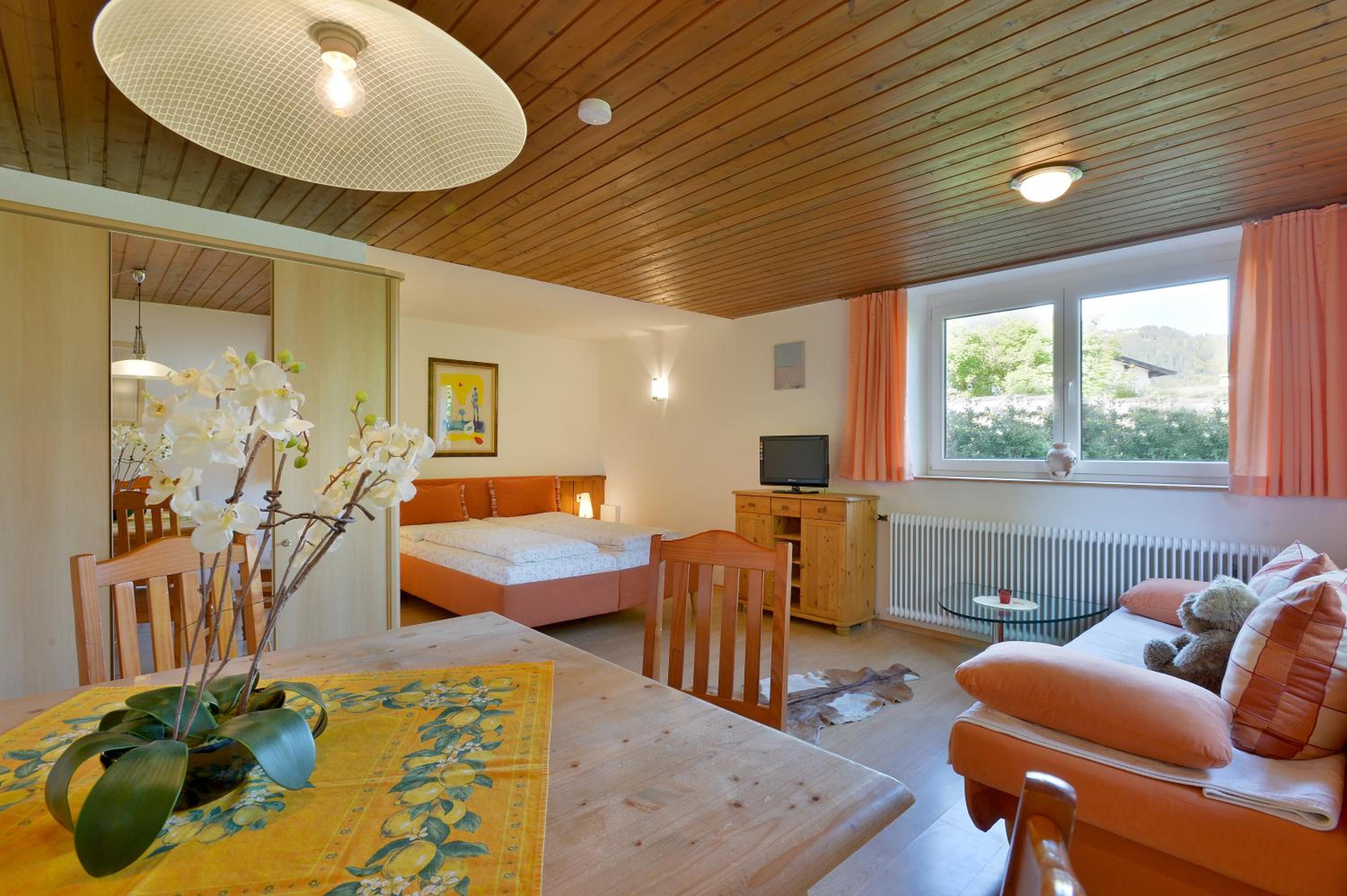 Studio Apartment 3  photo 1