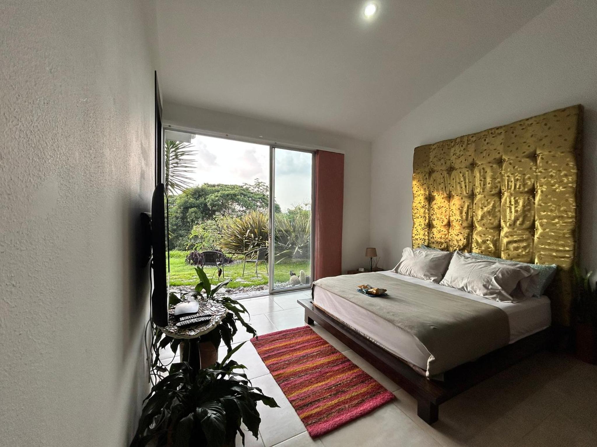 Double Room with Garden View photo 1