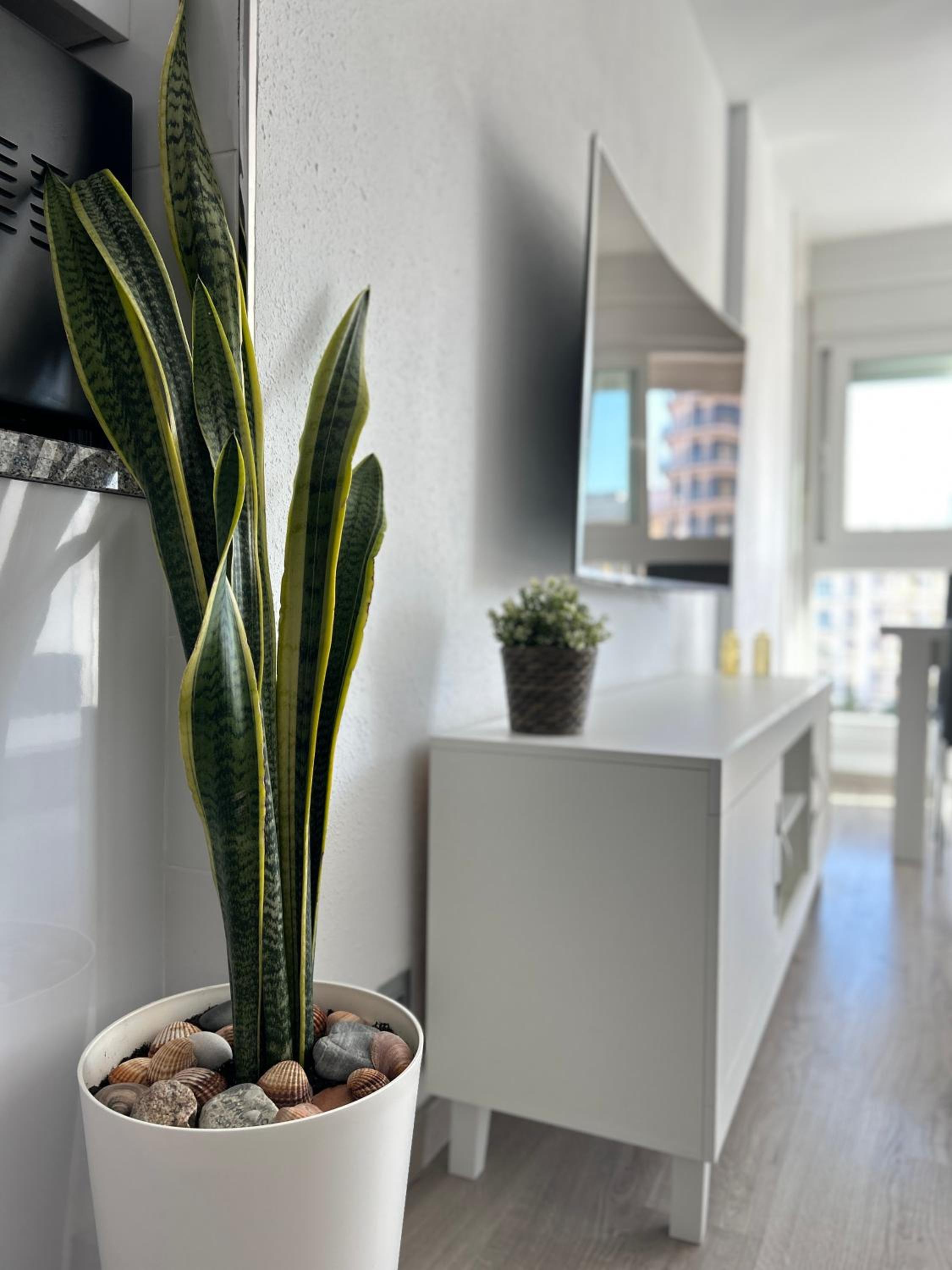 Apartamento de una habitación