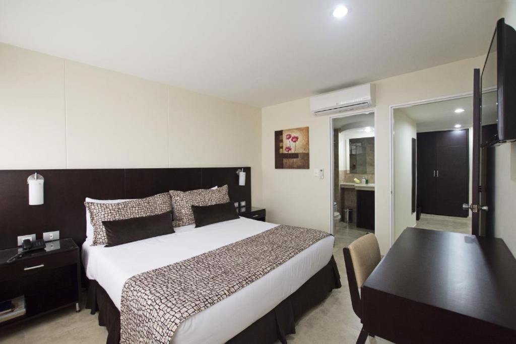 Senior Suite - Photo 4