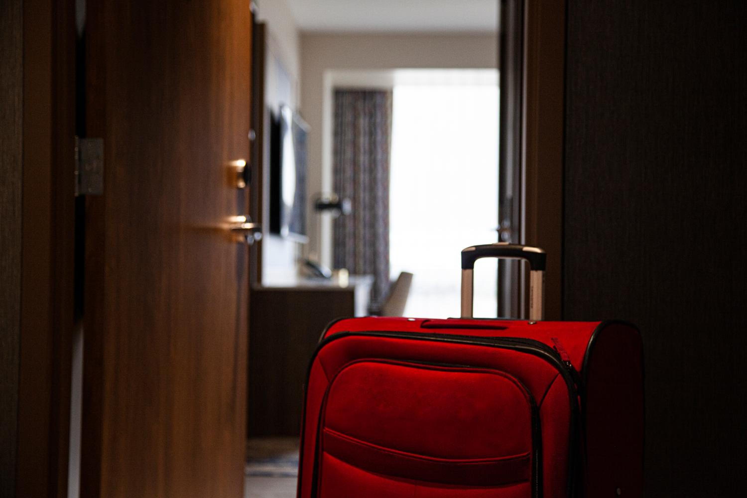 Executive Studio Suite - Photo 1