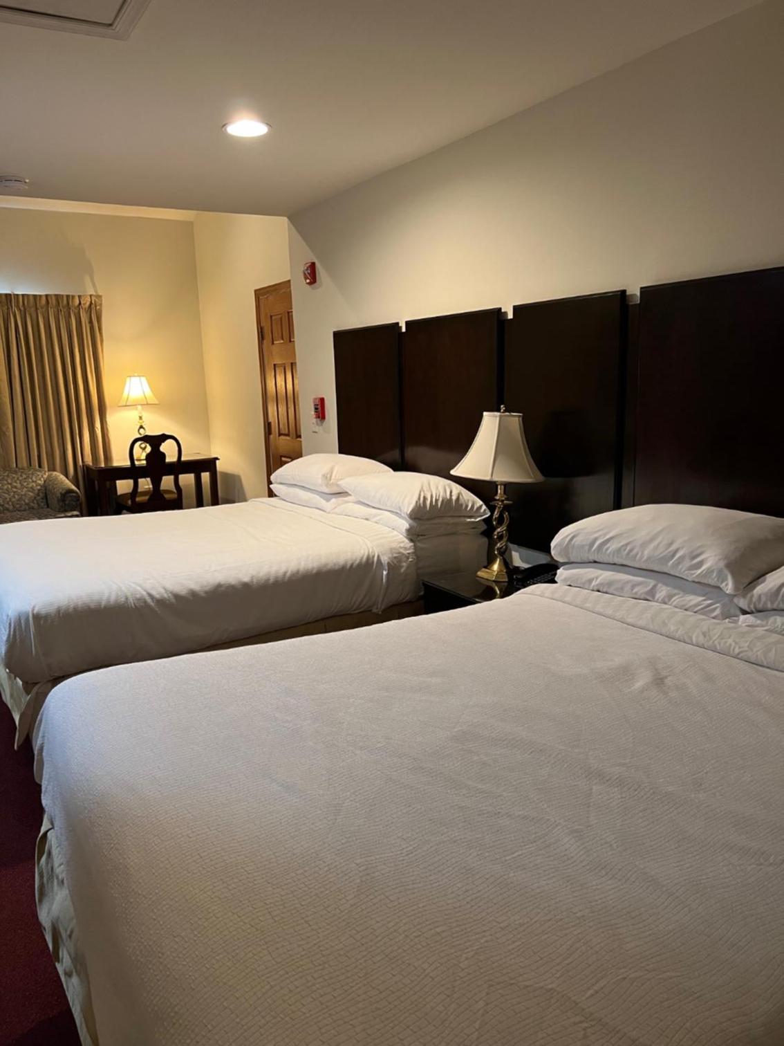 Double Room with Two Double Beds with Sofa photo 3