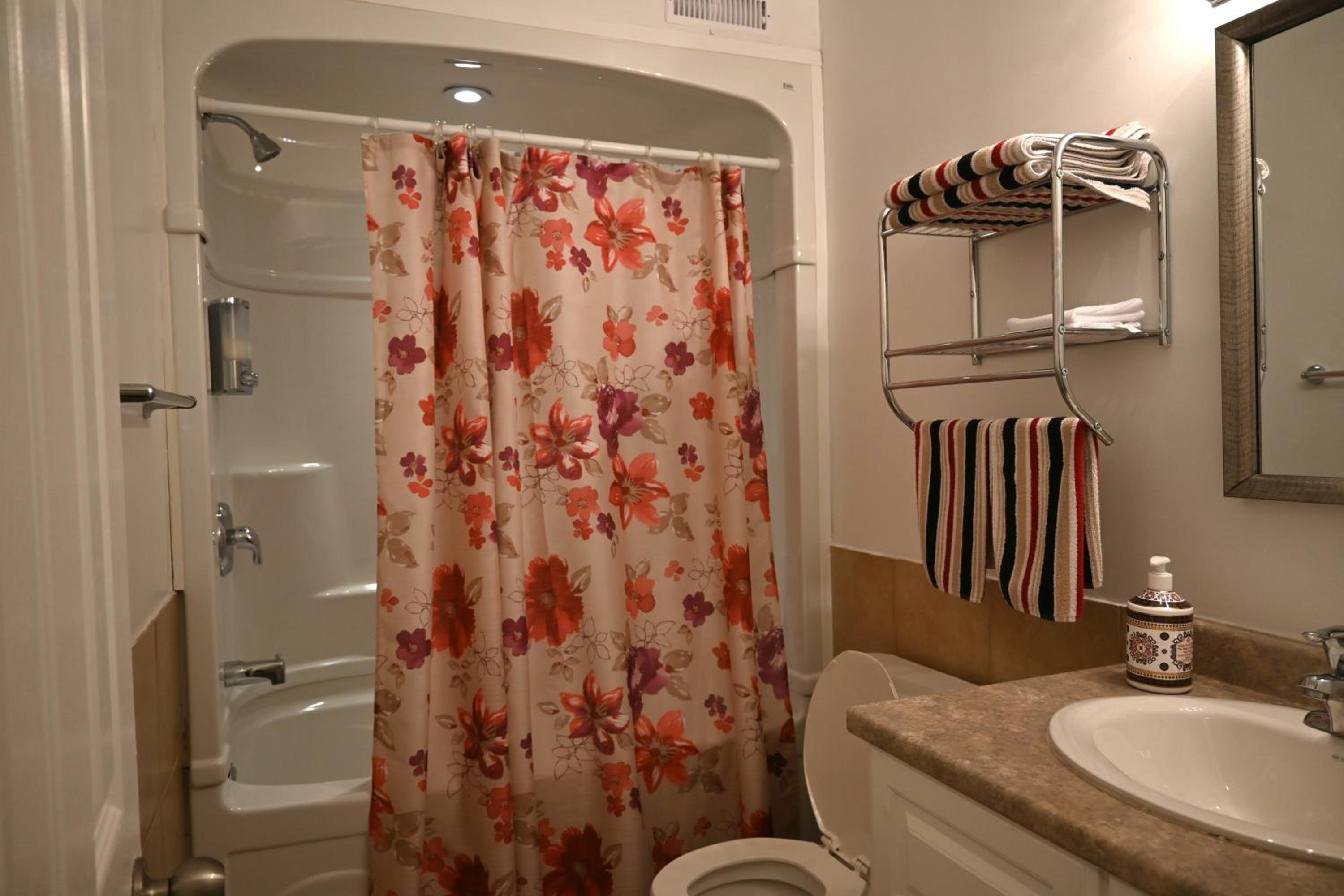 One-Bedroom Apartment - Photo 7