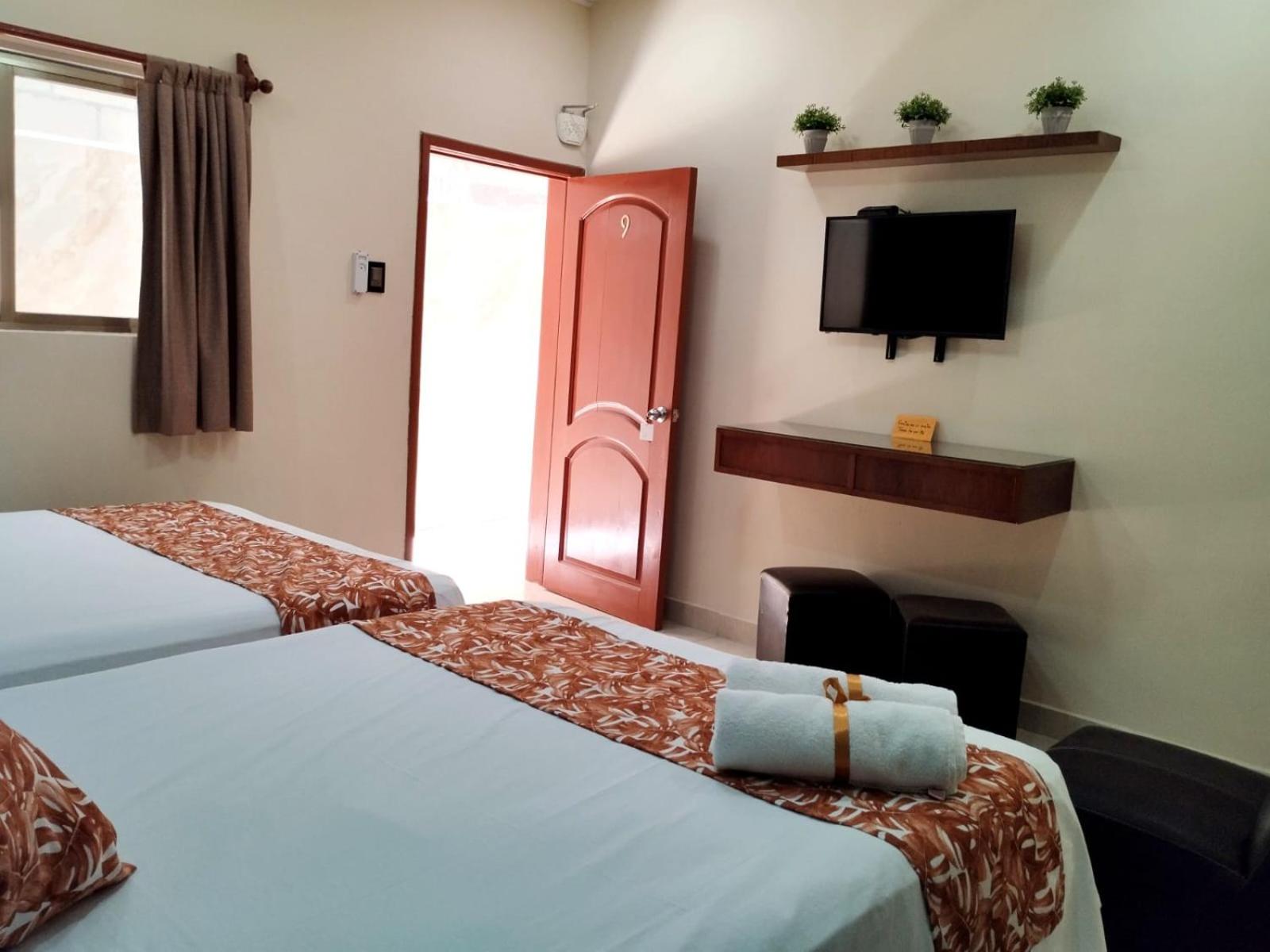 Twin Room photo 3