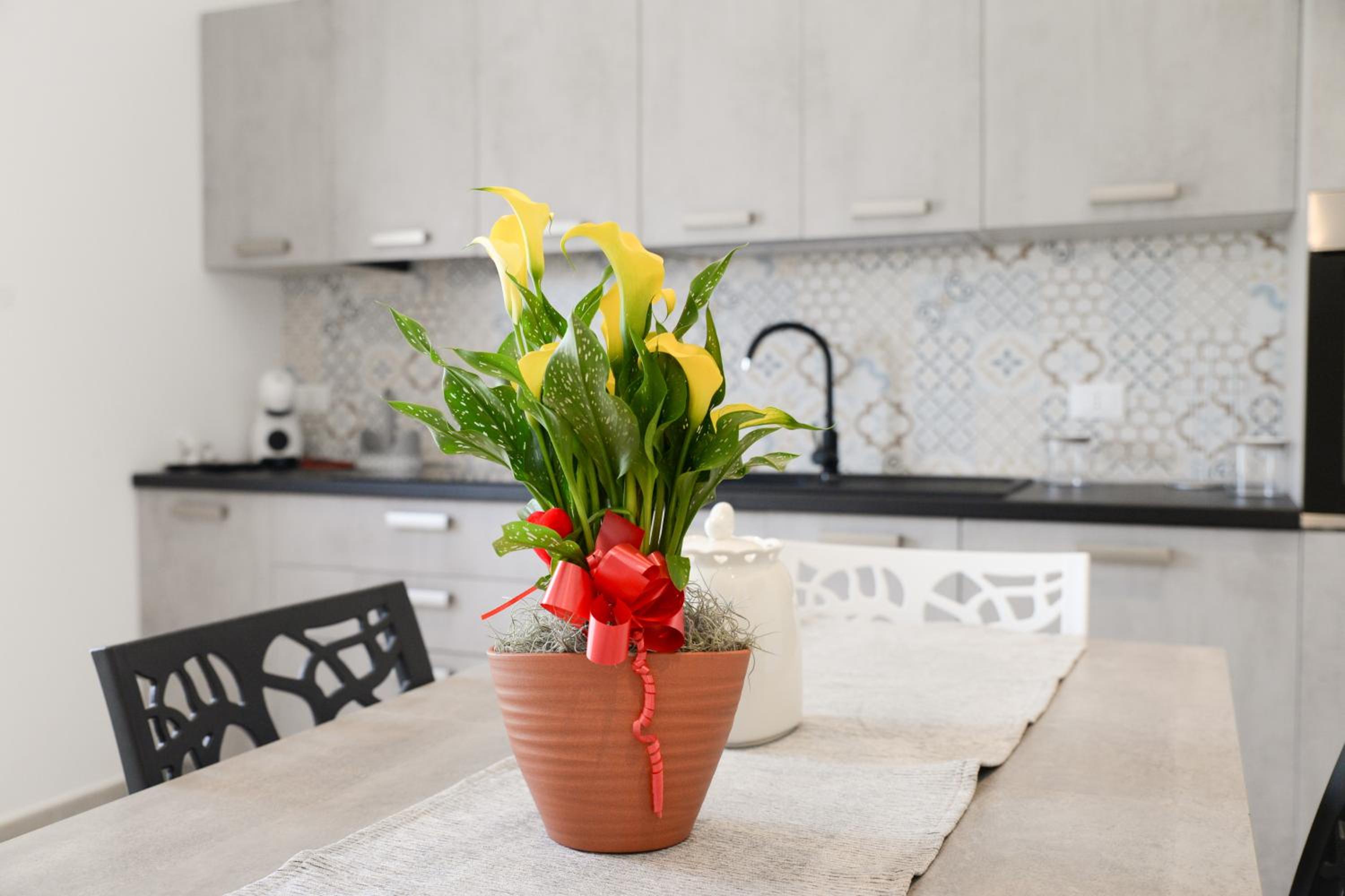 Vacation Home photo 3