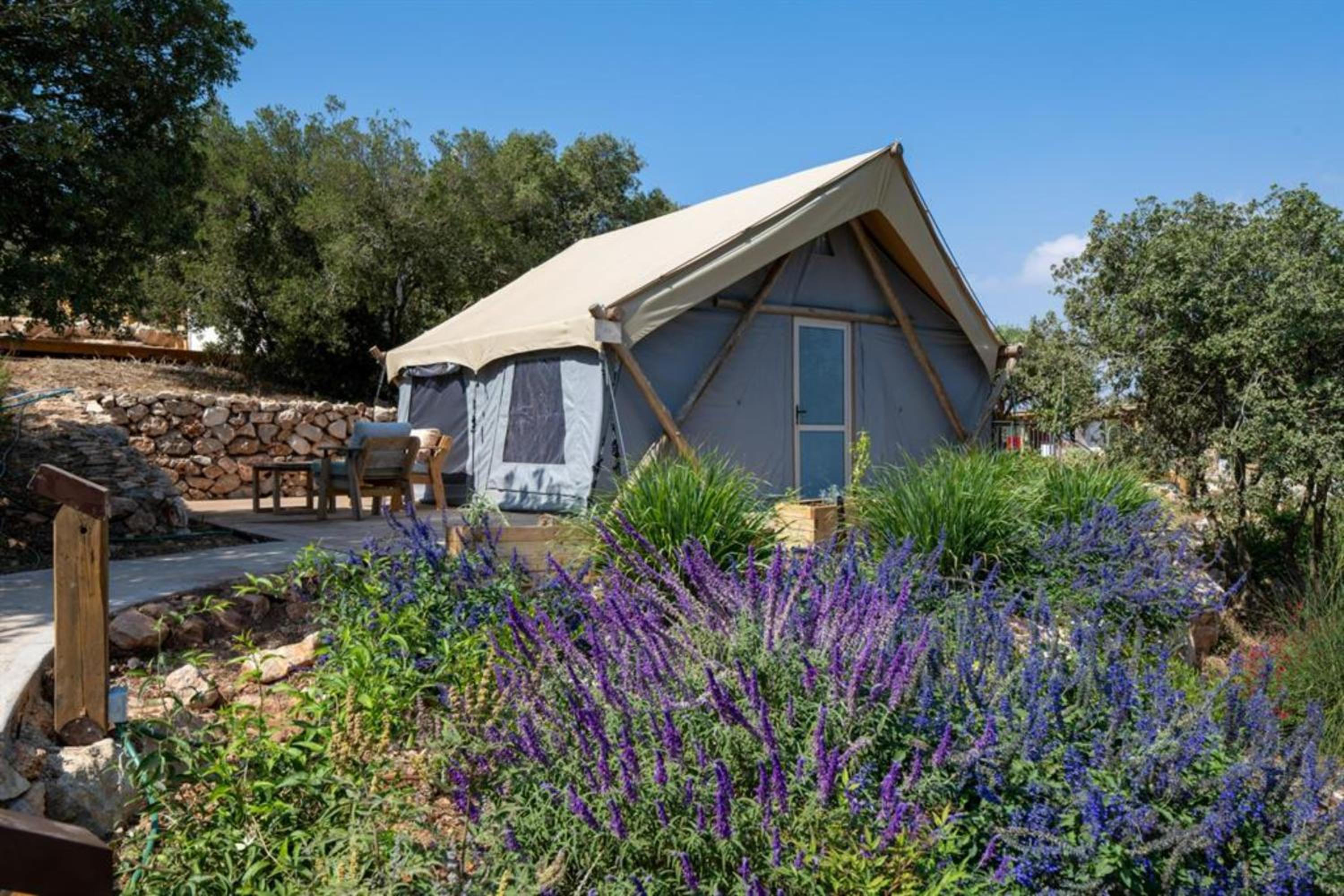 Forest Glamping photo 1