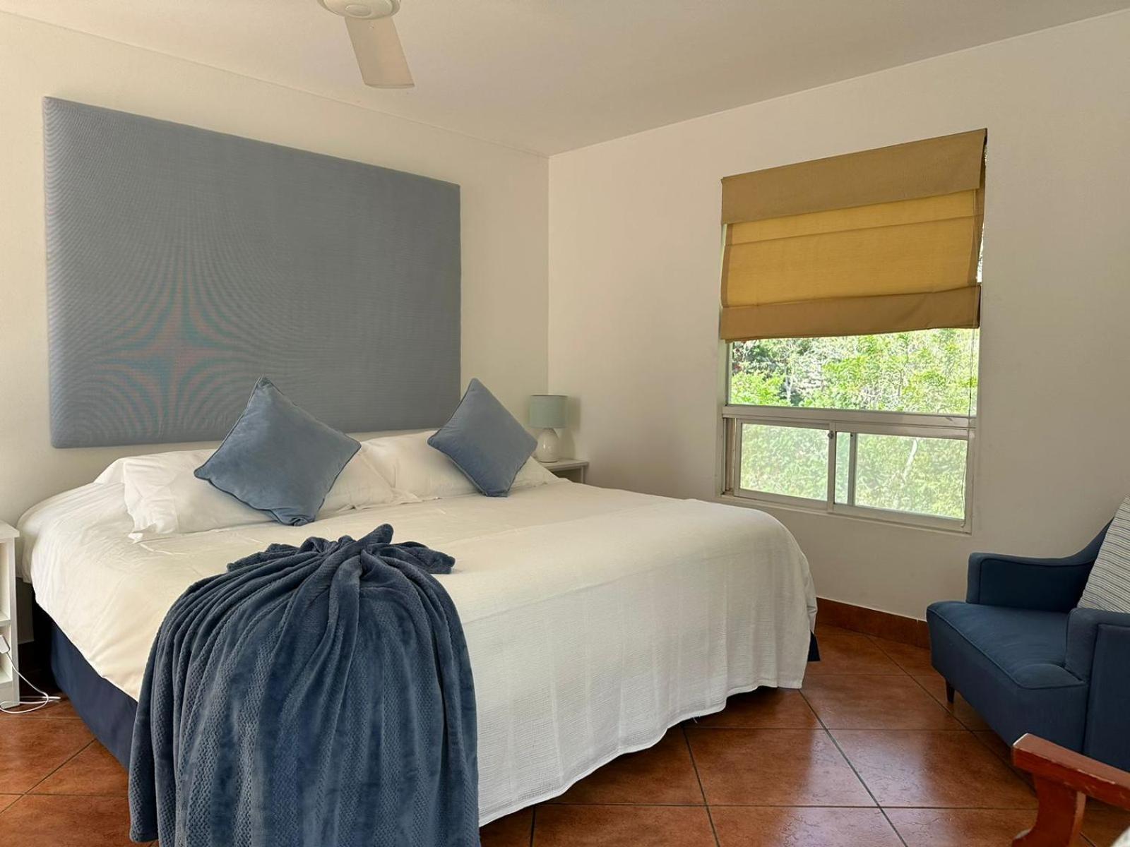 King Room with Garden View photo 1