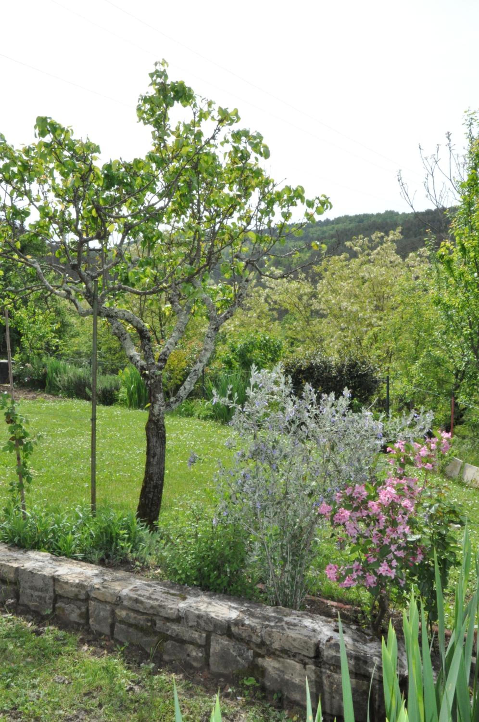 Triple Room with Private Bathroom - Photo 18