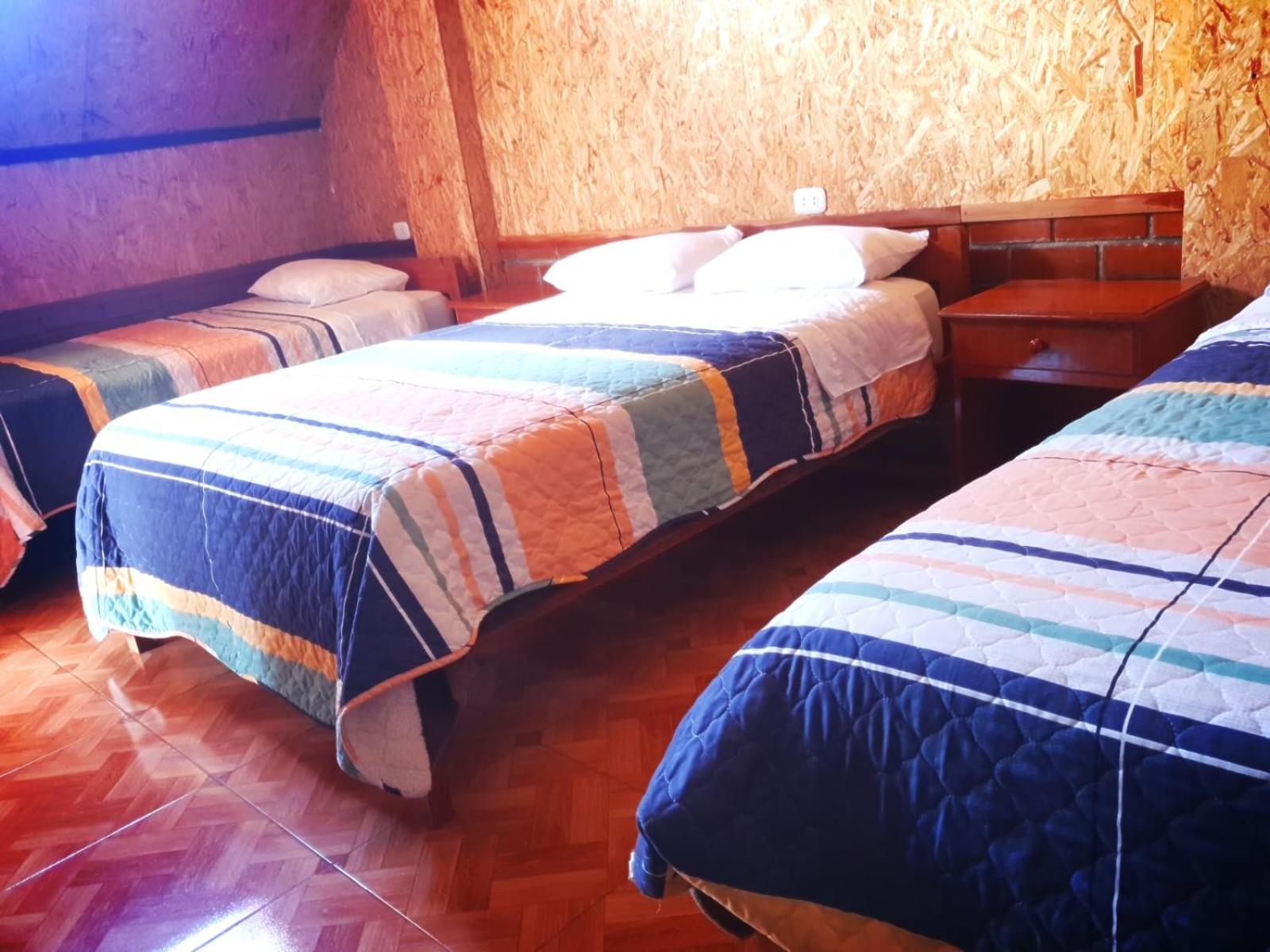 Triple Room photo 1