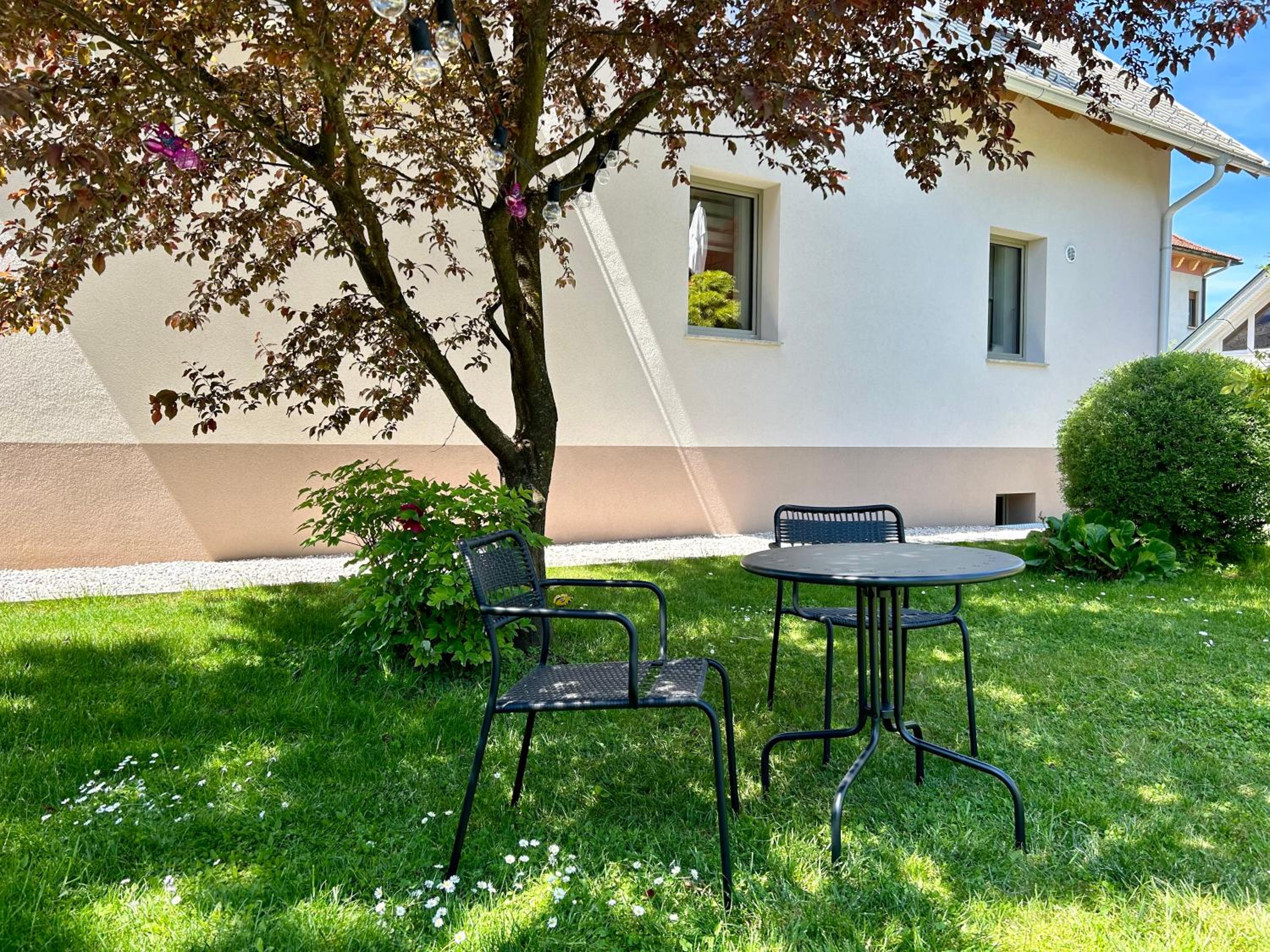 Studio with Garden View photo 2