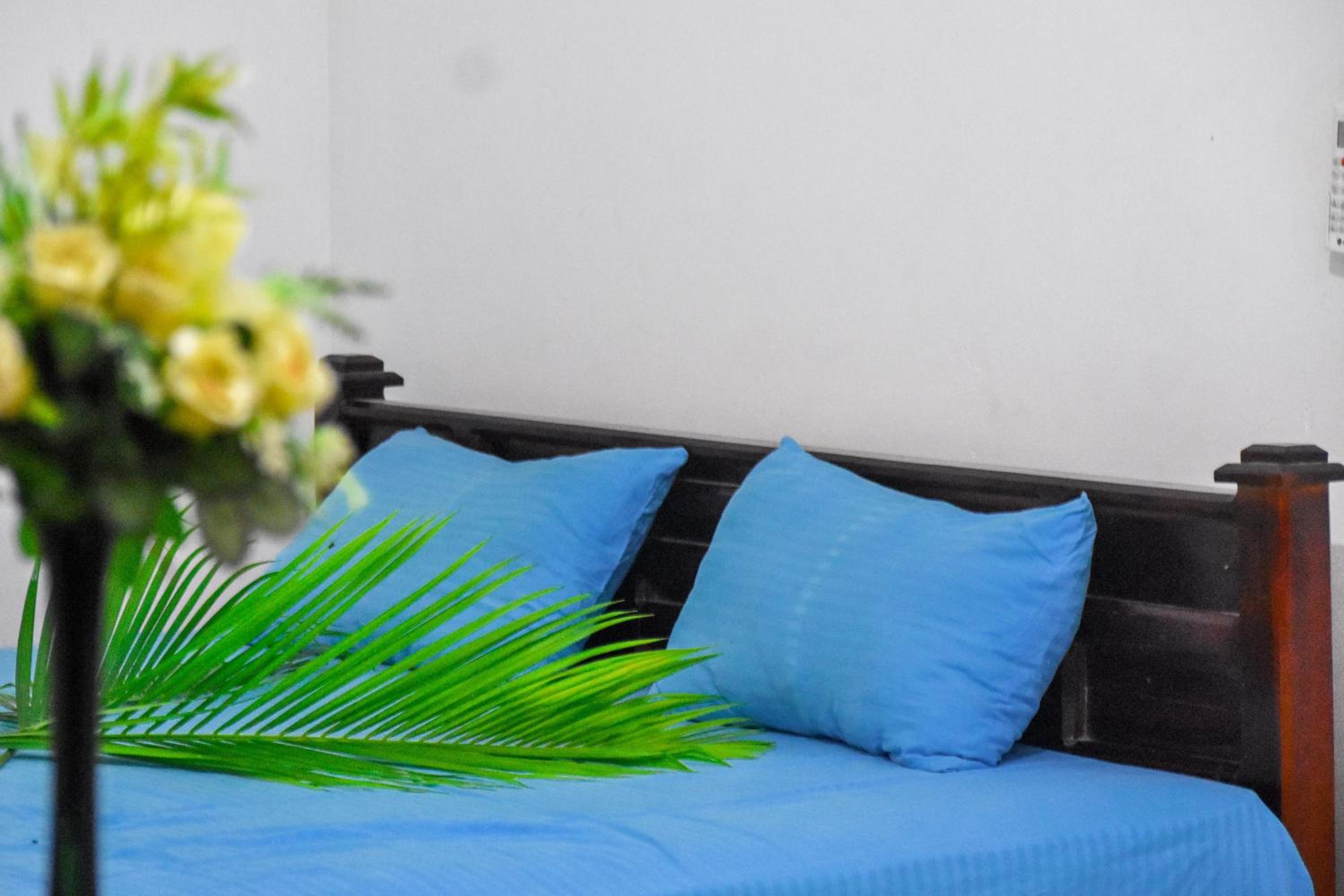 Standard Double Room With Fan