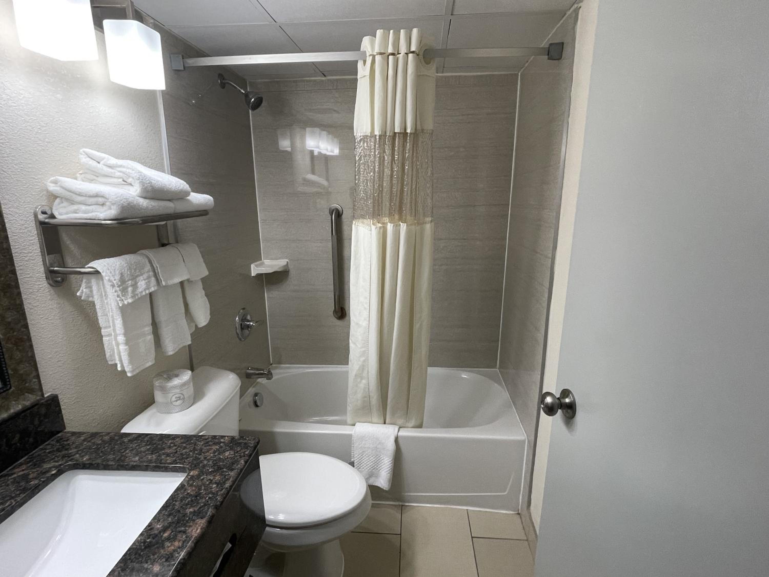 Business King Suite - Non-Smoking - Photo 4