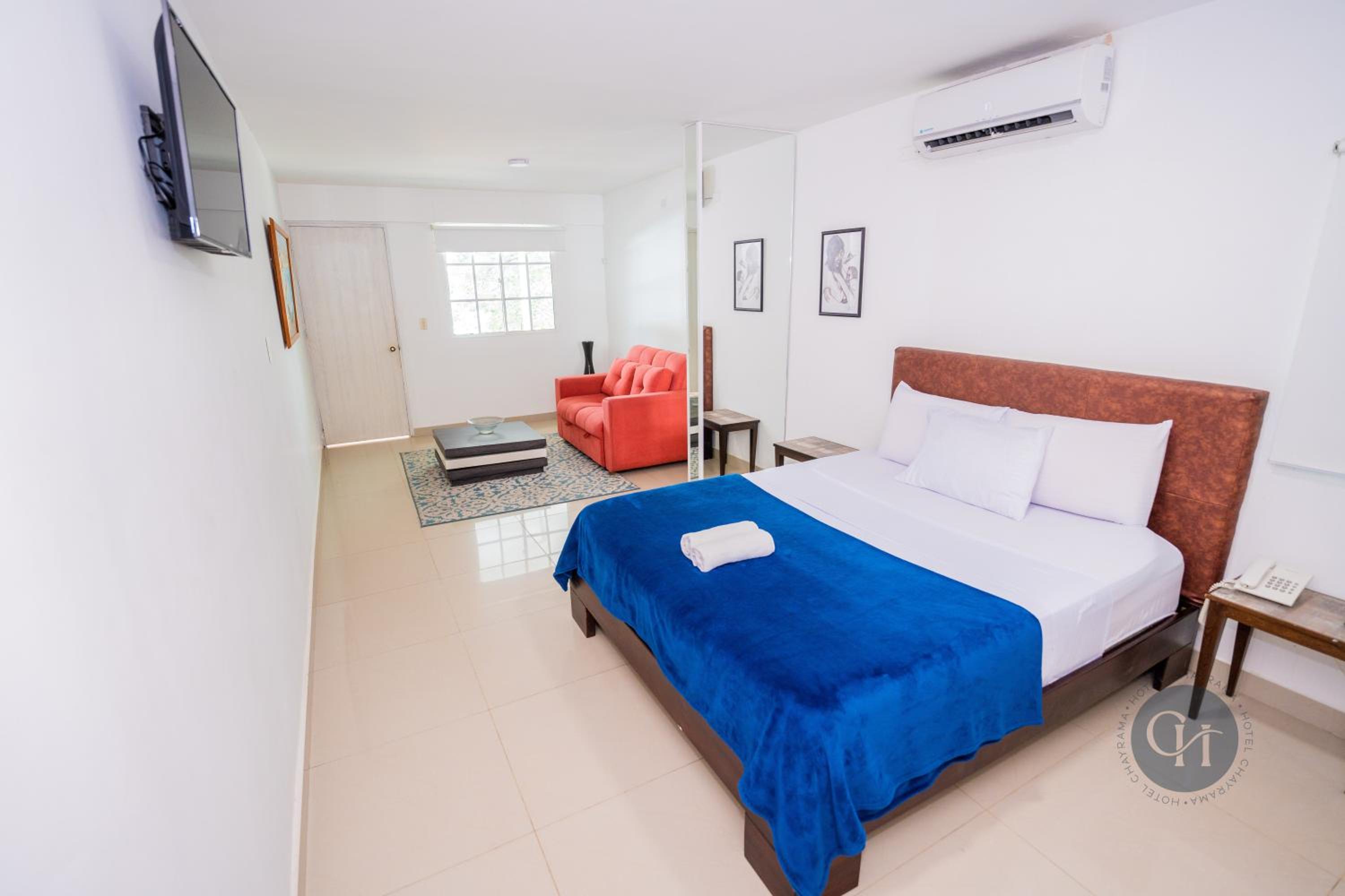Junior Suite with Terrace