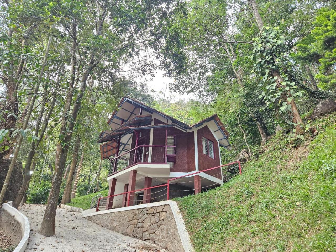 Standard Villa photo 2