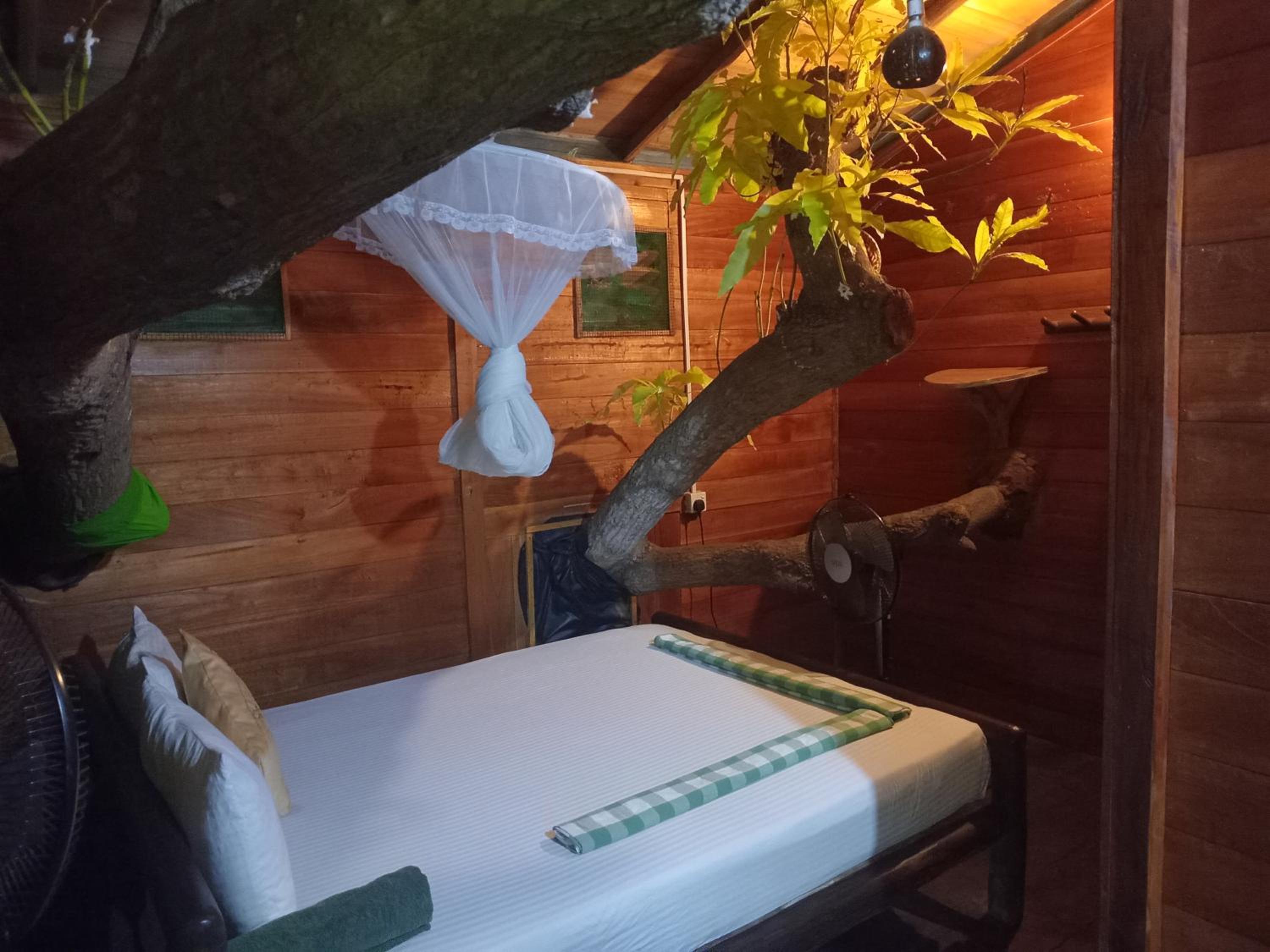 Treehouse photo 1