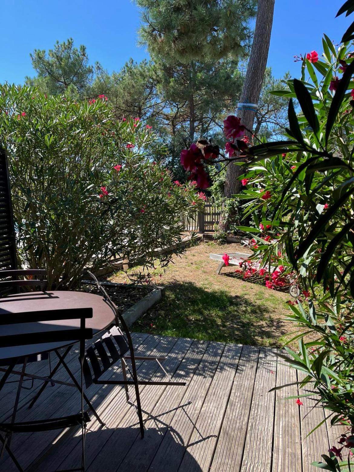 Apartment - Ground Floor photo 3