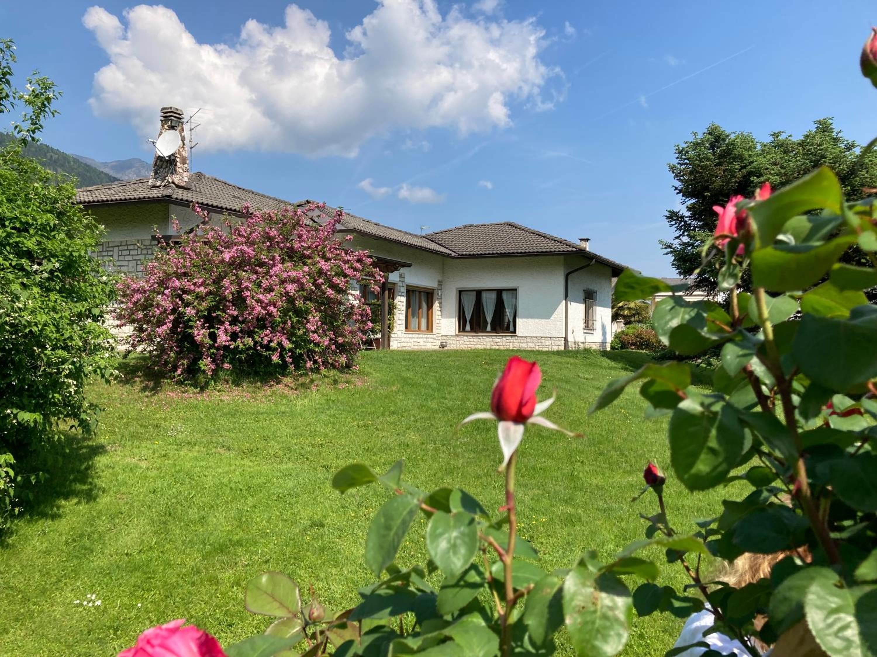 Vacation Home photo 2