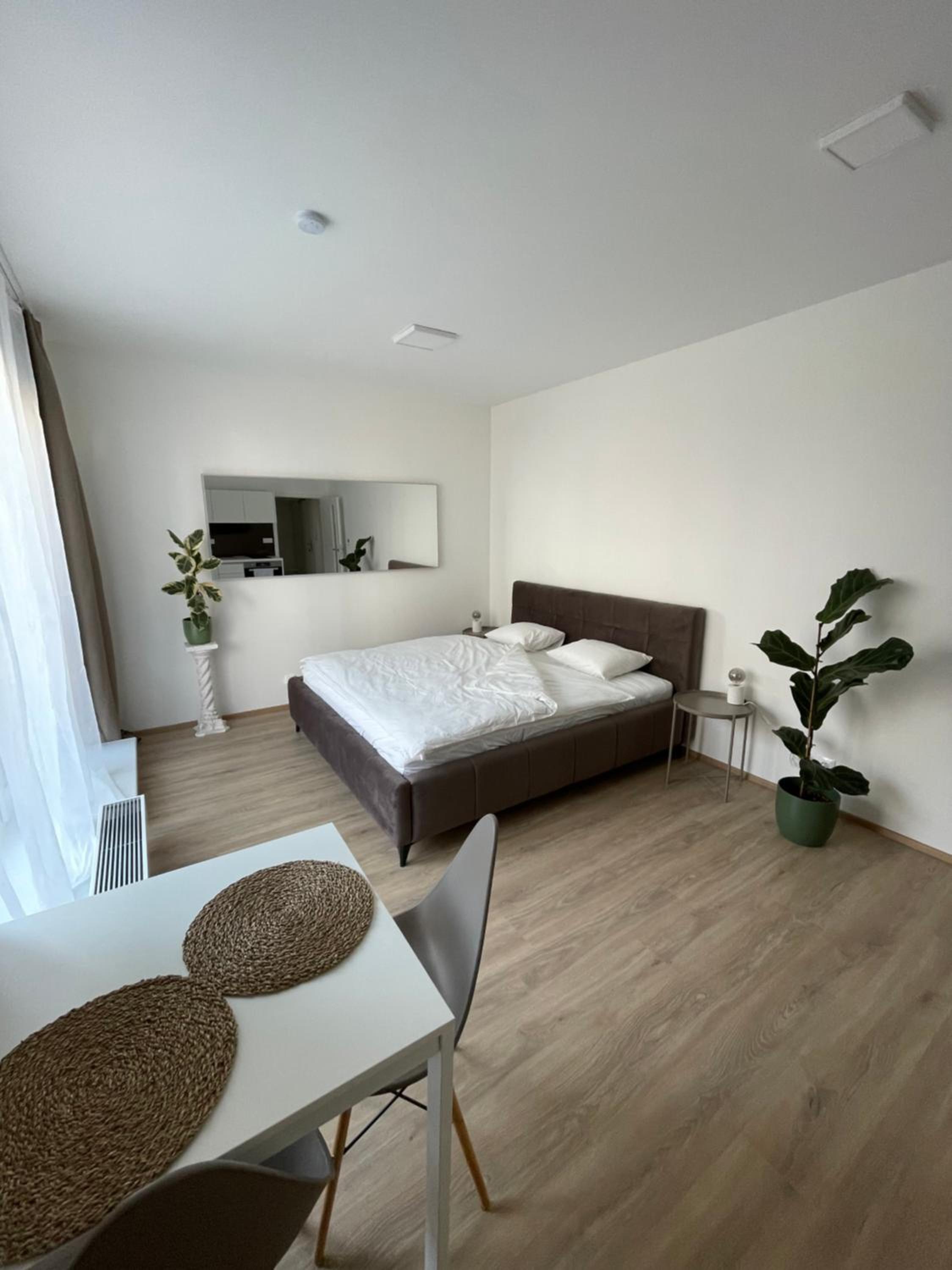 One-Bedroom Apartment photo 1