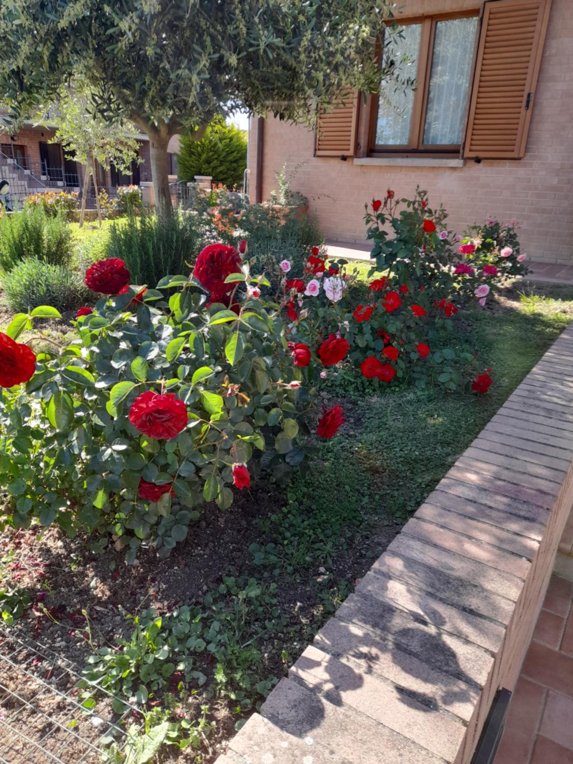 One-Bedroom Apartment with Garden View photo 3