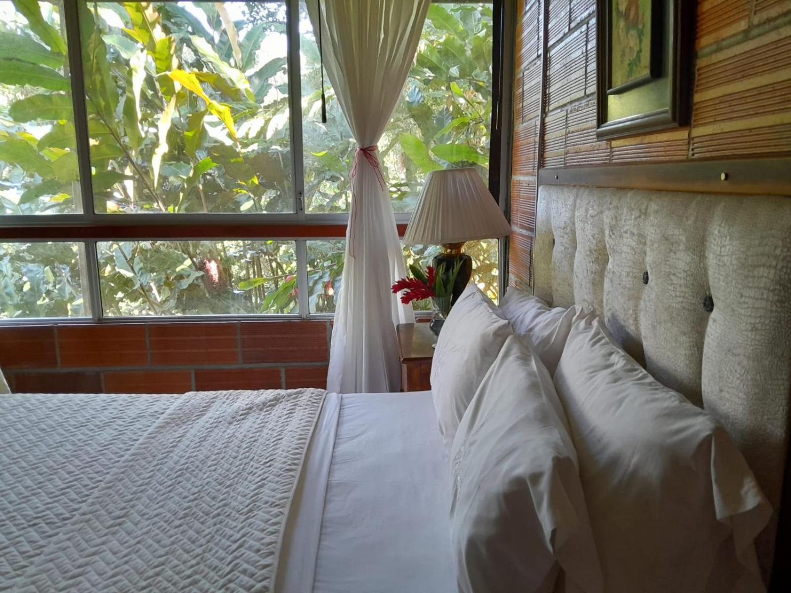 Double Room with Mountain View photo 1