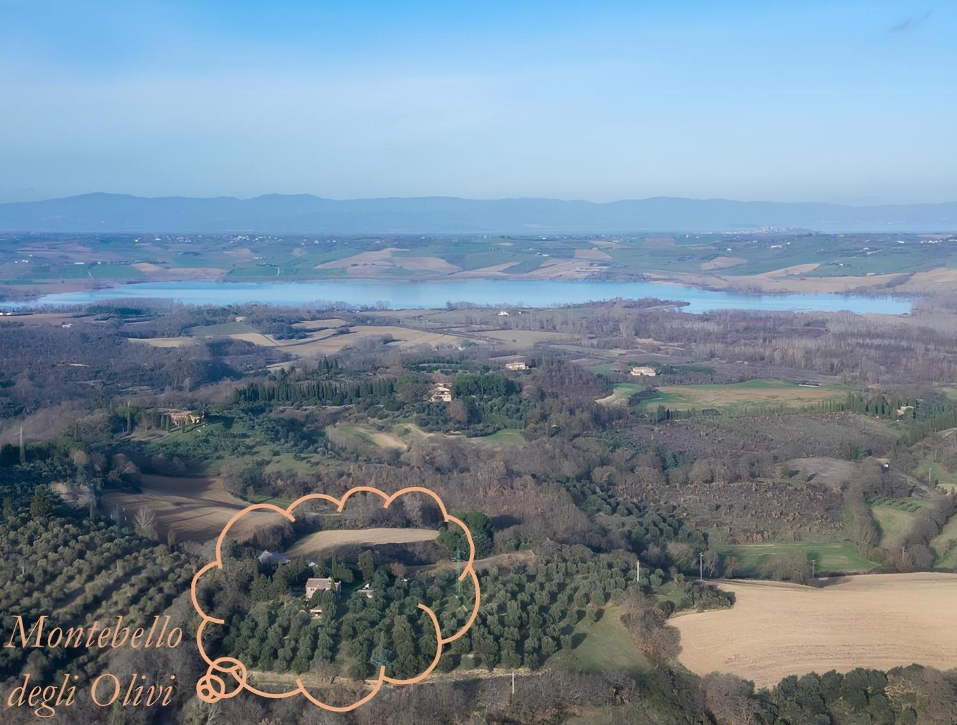 Montebello degli Olivi, Billede 4