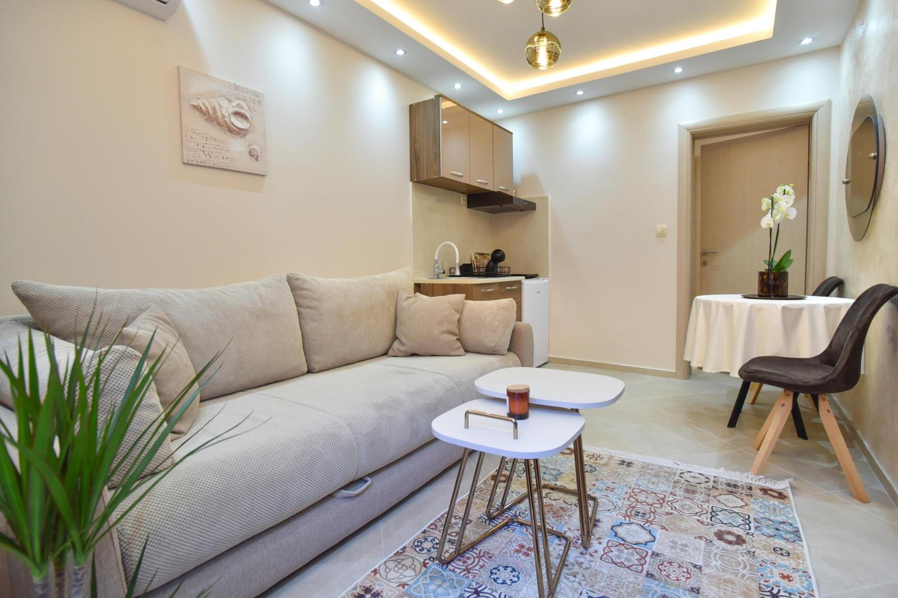 One-Bedroom Premium Apartment photo 2