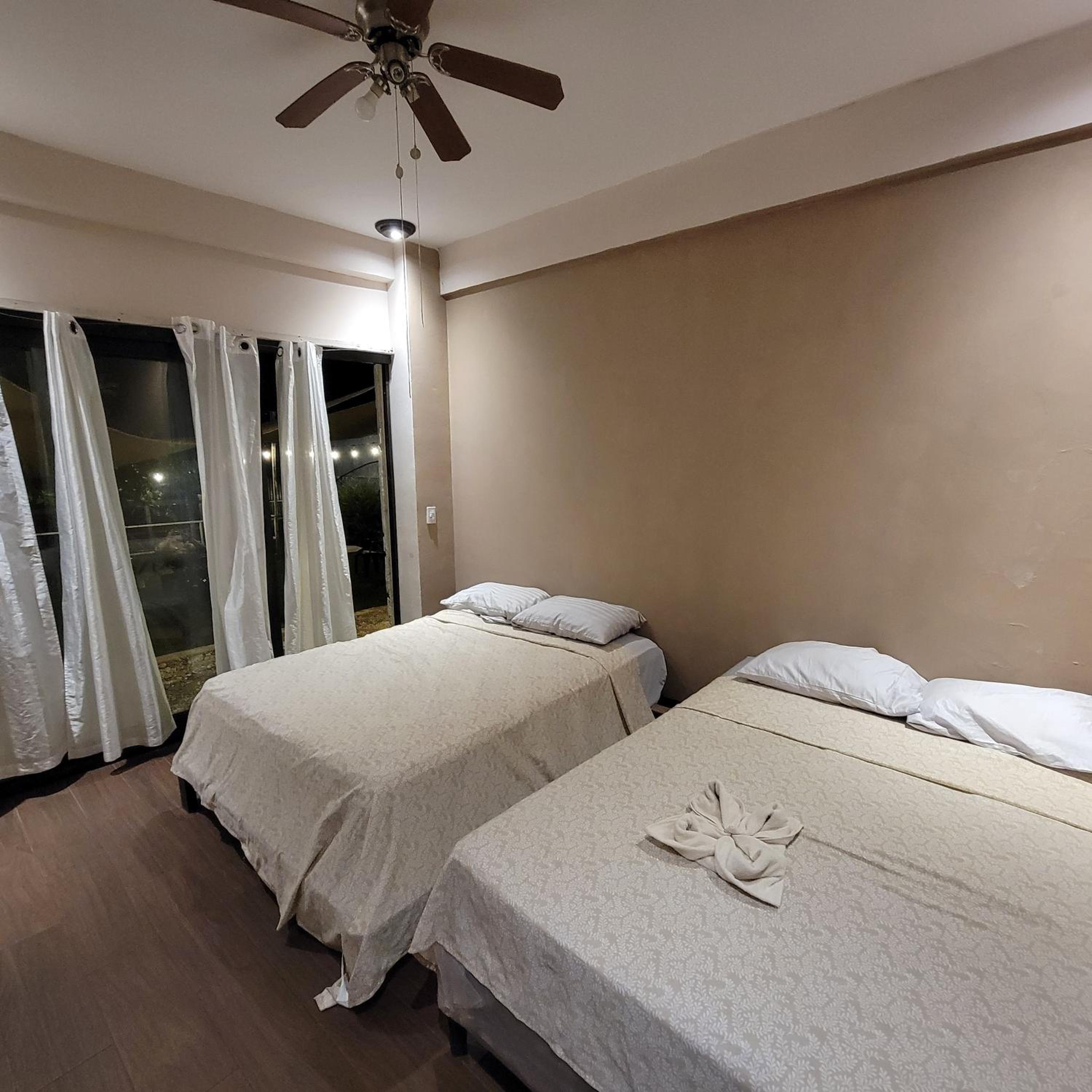 Twin Room photo 2