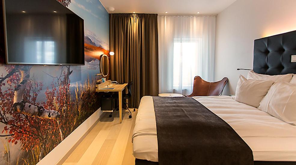 Superior Single Room photo 1