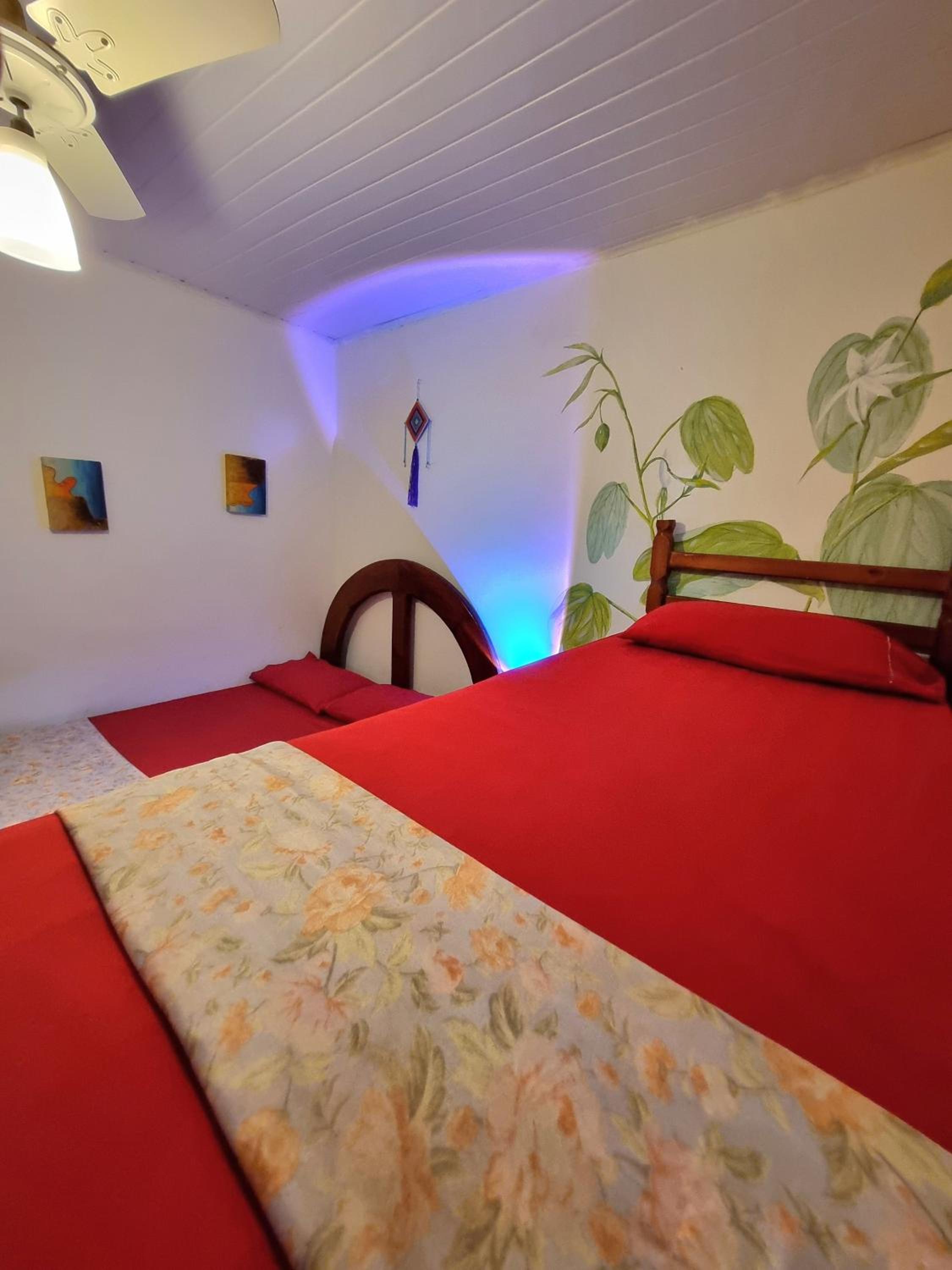 Family Suite - Photo 4