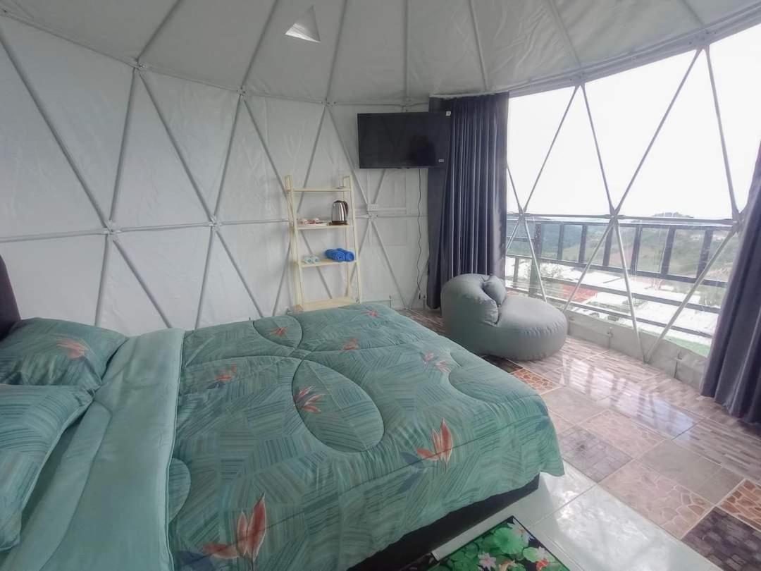 Junior Suite - Photo 1