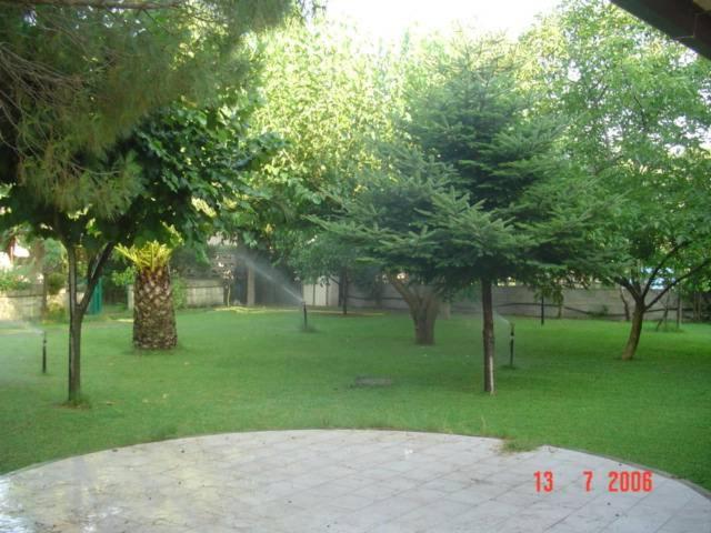 One-Bedroom House photo 3