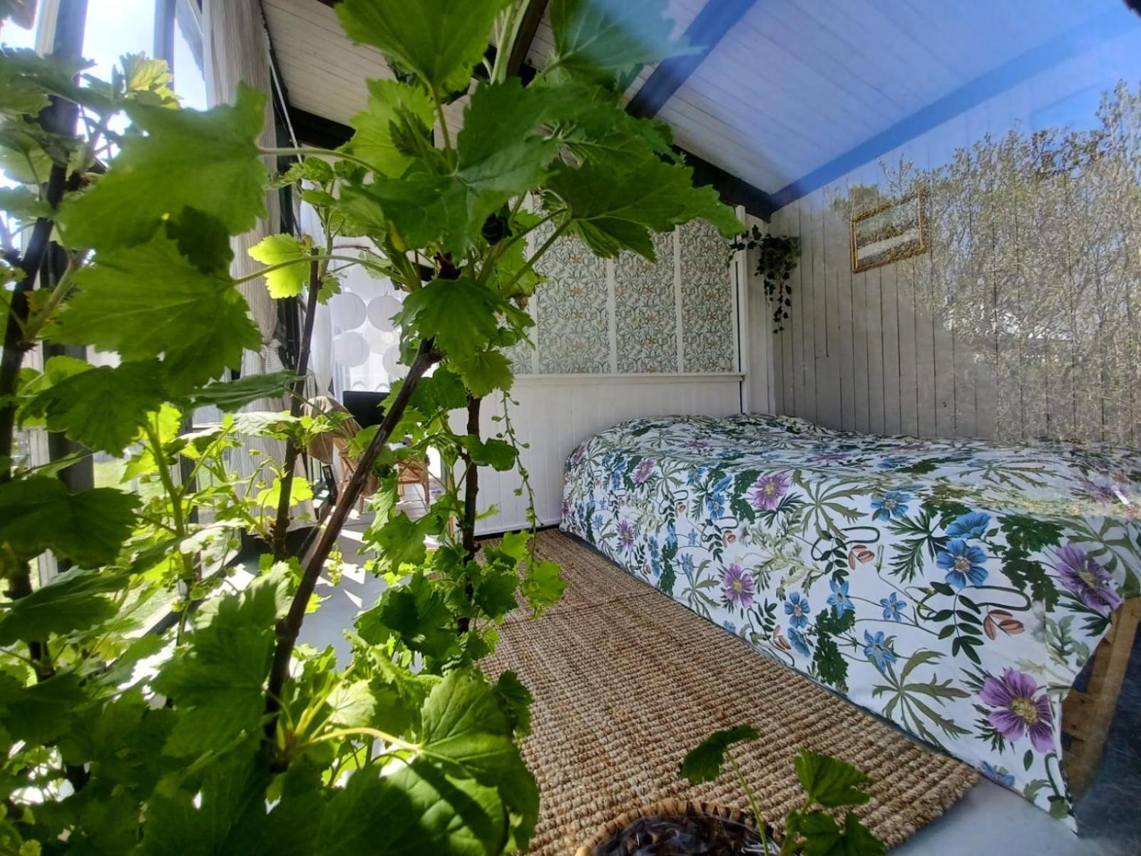 One-Bedroom Chalet photo 1