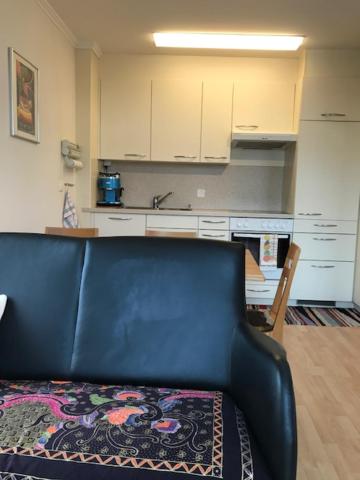 One-Bedroom Apartment with Balcony and Mountain View photo 2
