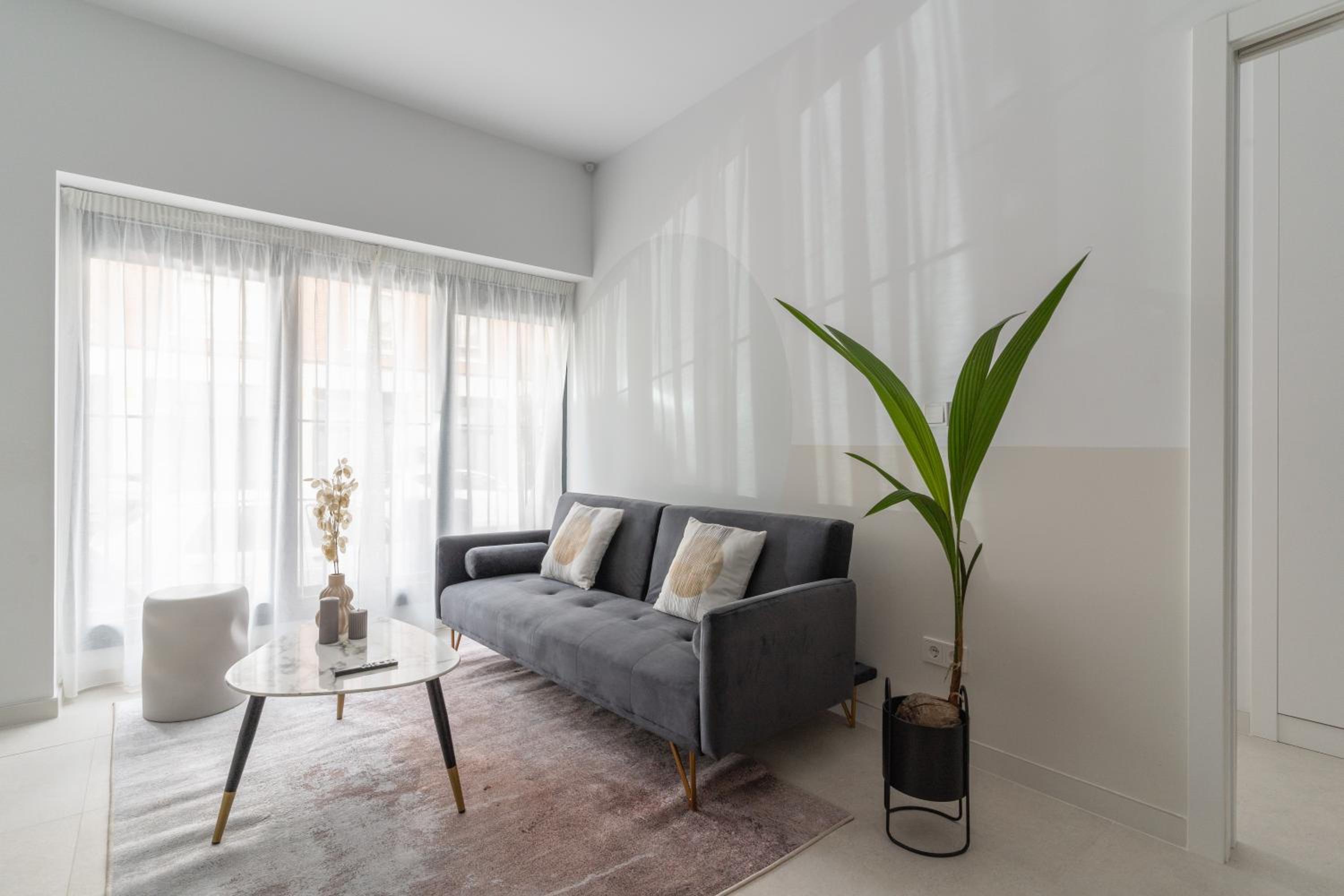 One-Bedroom Apartment 4