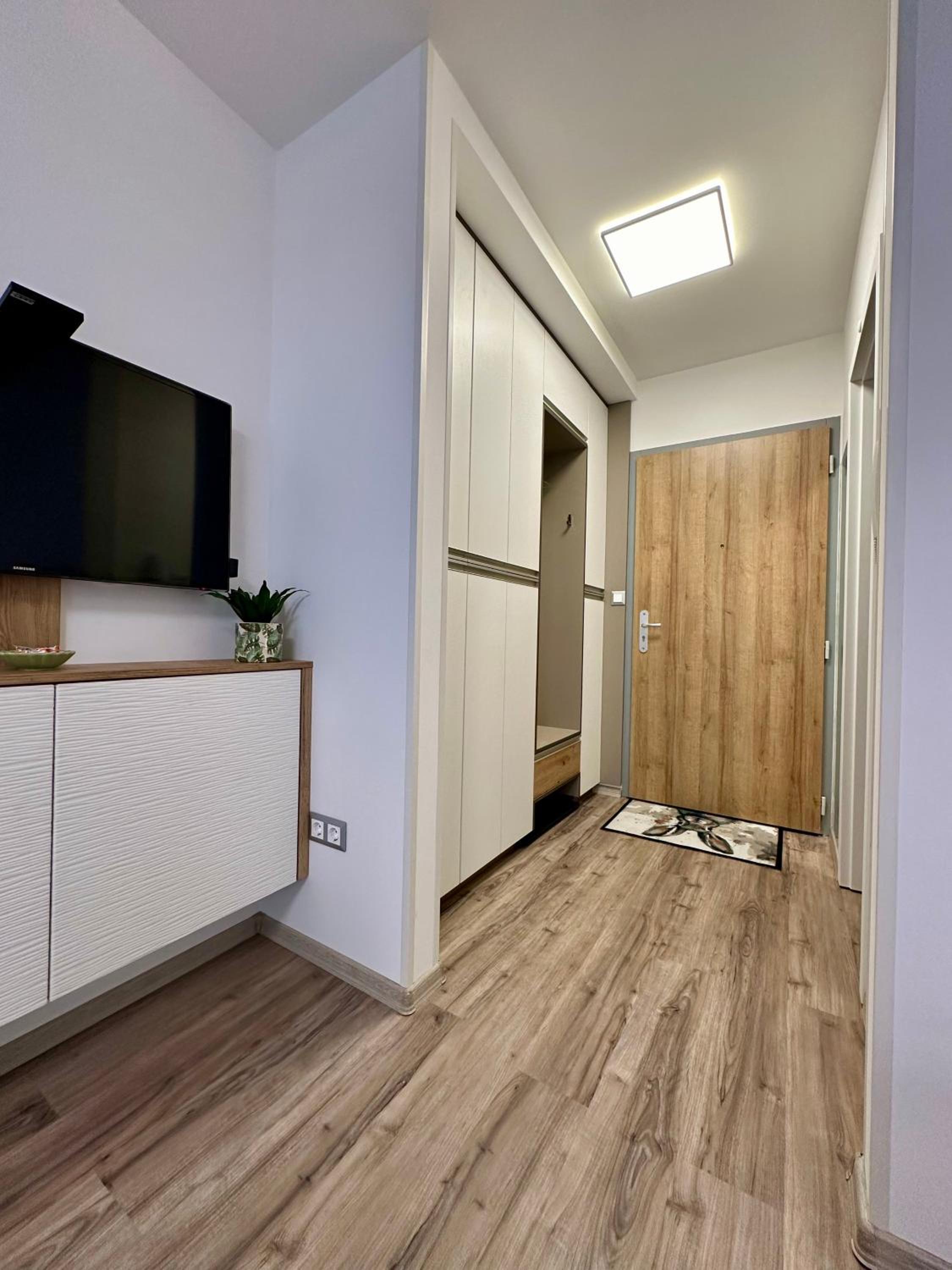 One-Bedroom Apartment photo 2