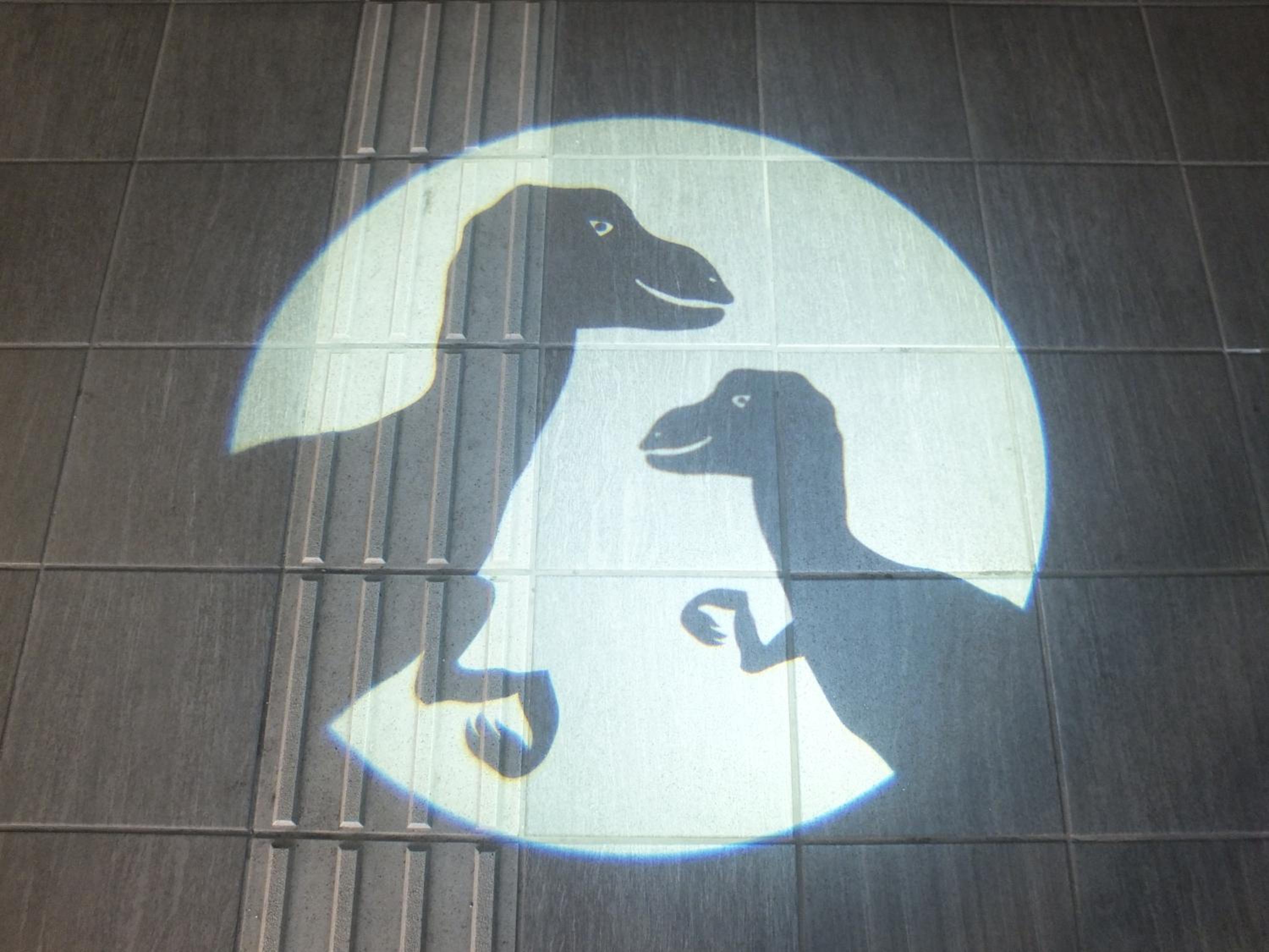 Concept Twin Room - Dinosaur - Photo 5