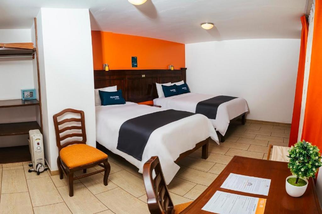 Twin Room photo 2