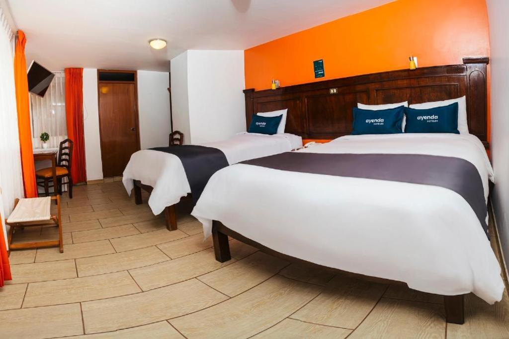 Twin Room photo 3