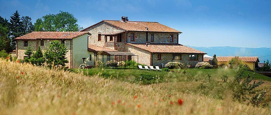 Agriturismo Gattogiallo, Foto 8
