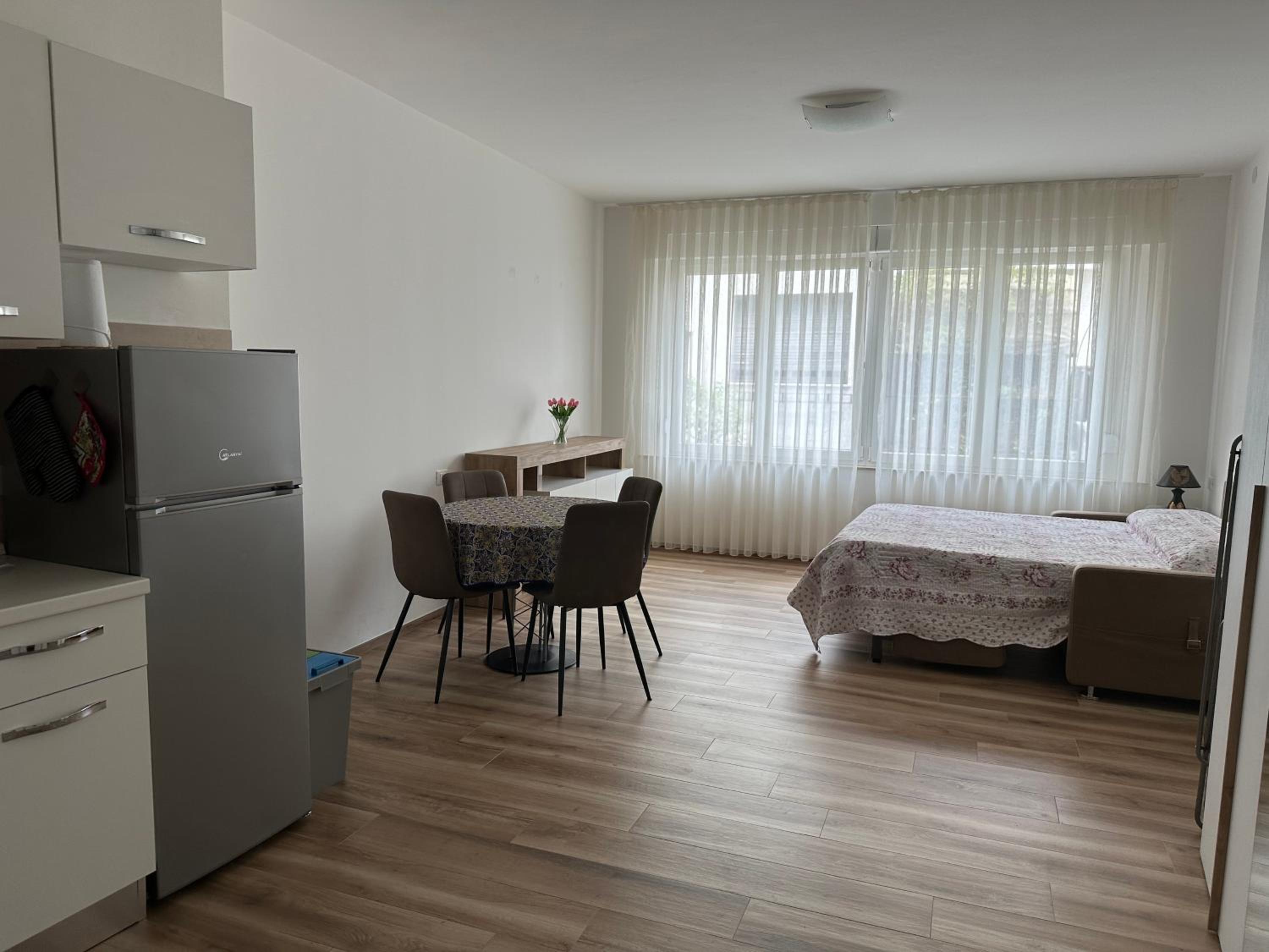 One-Bedroom Apartment photo 3