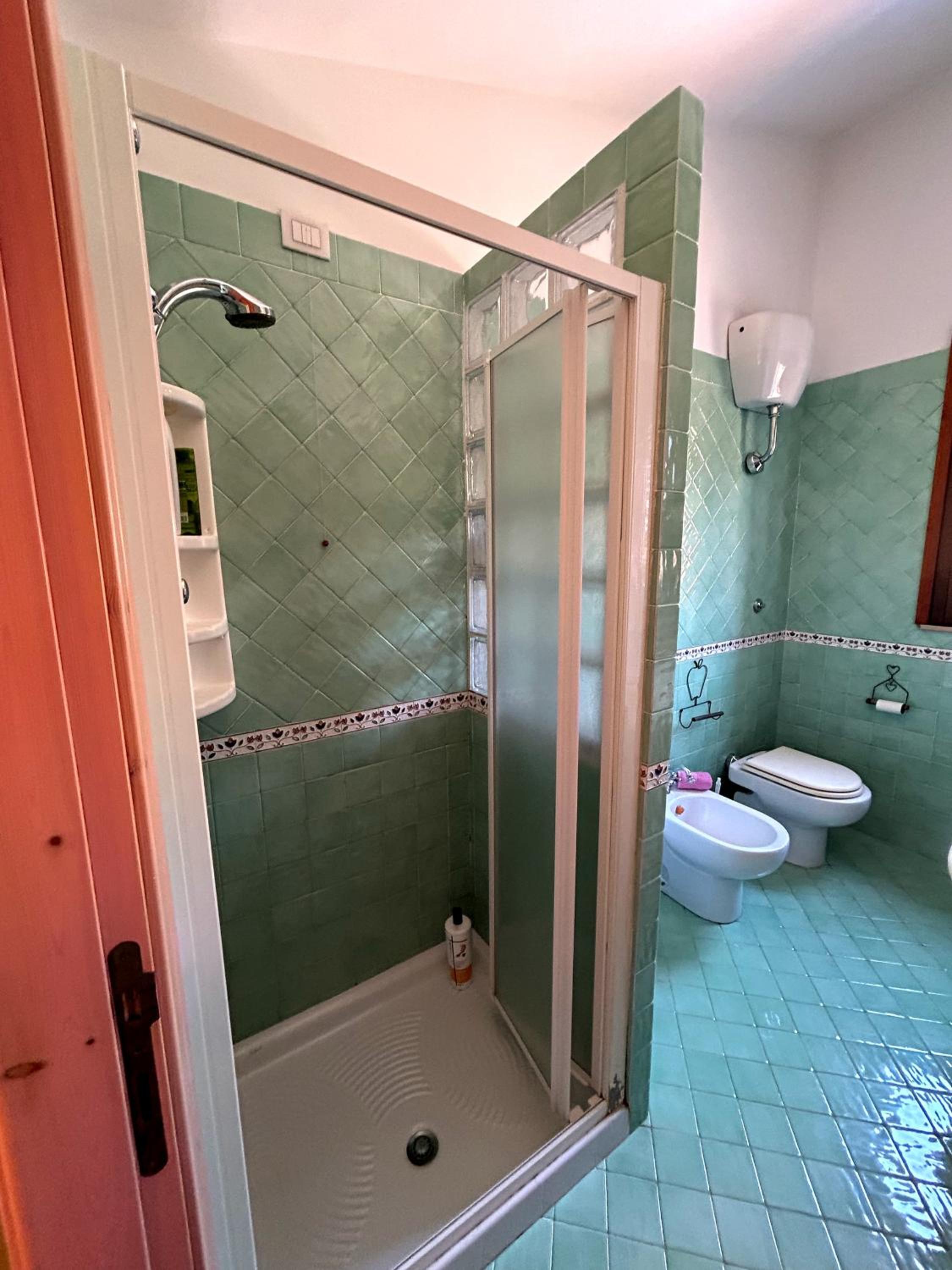Three-Bedroom House photo 3