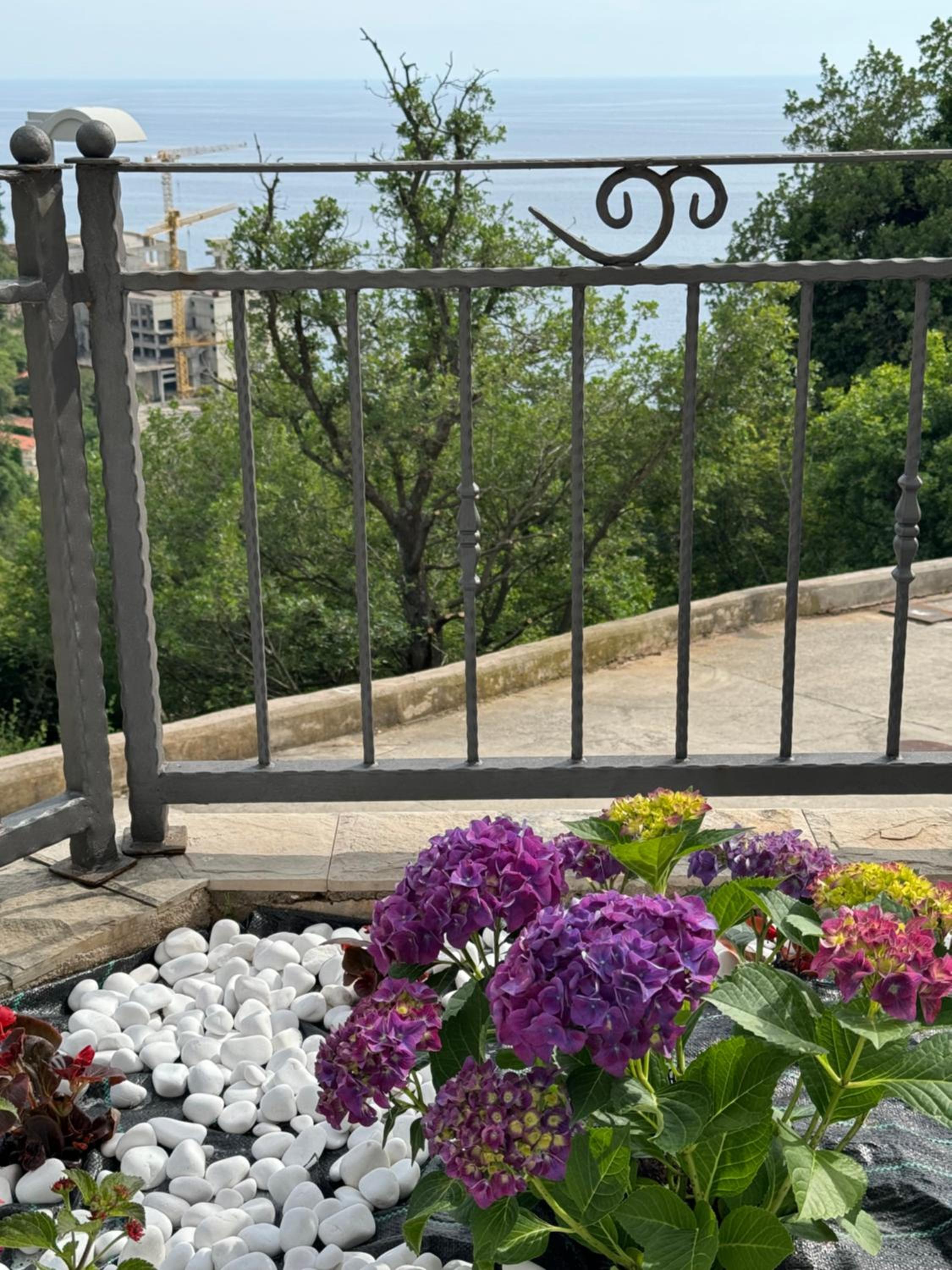 Villa with Sea View photo 3