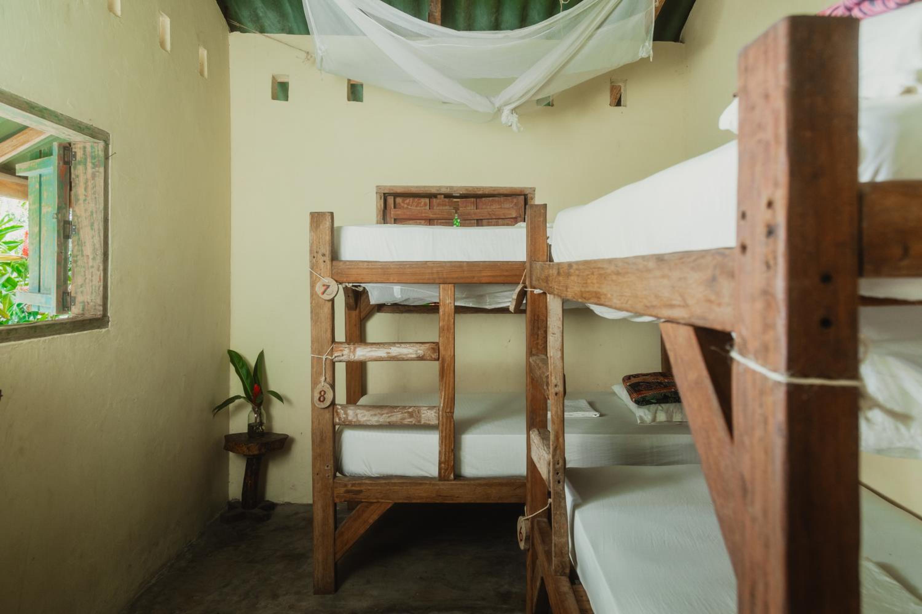 Bed in 4-Bed Mixed Dormitory Room photo 3